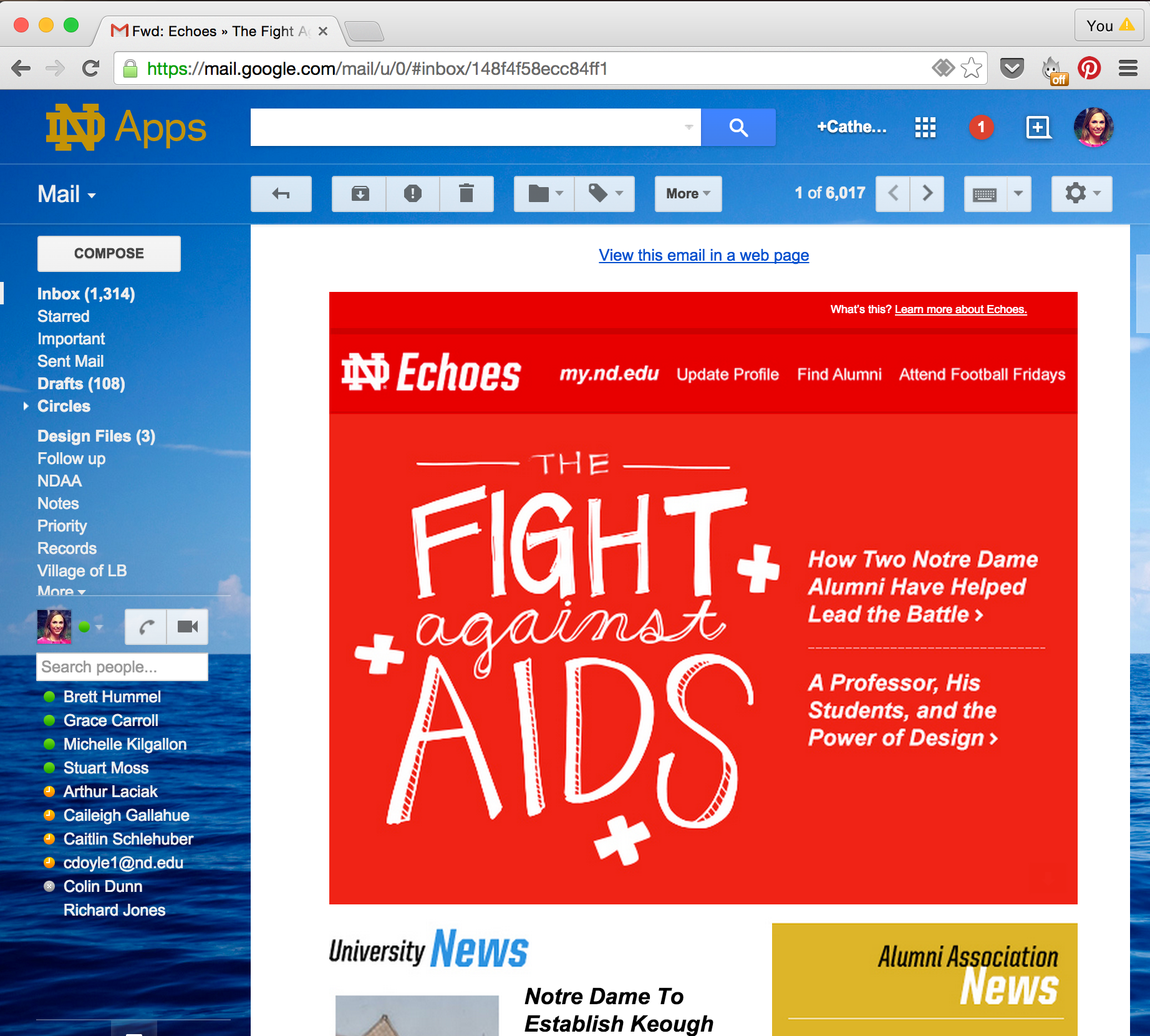 email_echoes.png
