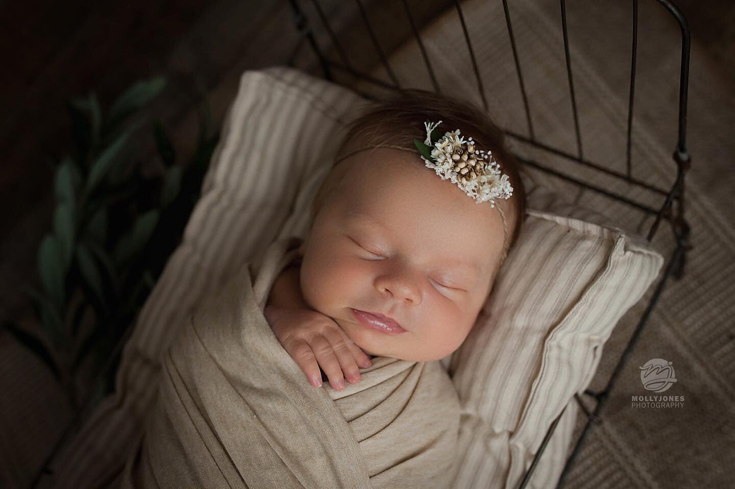 Elliott Noelle was a DREAM to photograph. I seriously get to photograph the most beautiful babies! &hearts;️