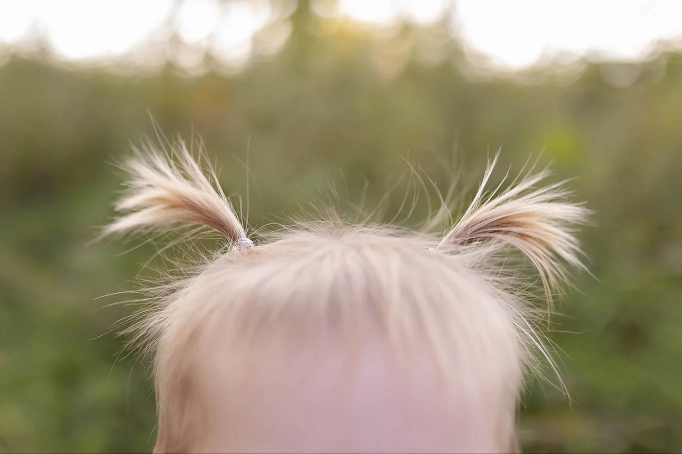 This post just about sums up my sessions in a nutshell:
✅ detail shot
✅ candid shot
✅ posed shot
My goal is always capture it all ❤️