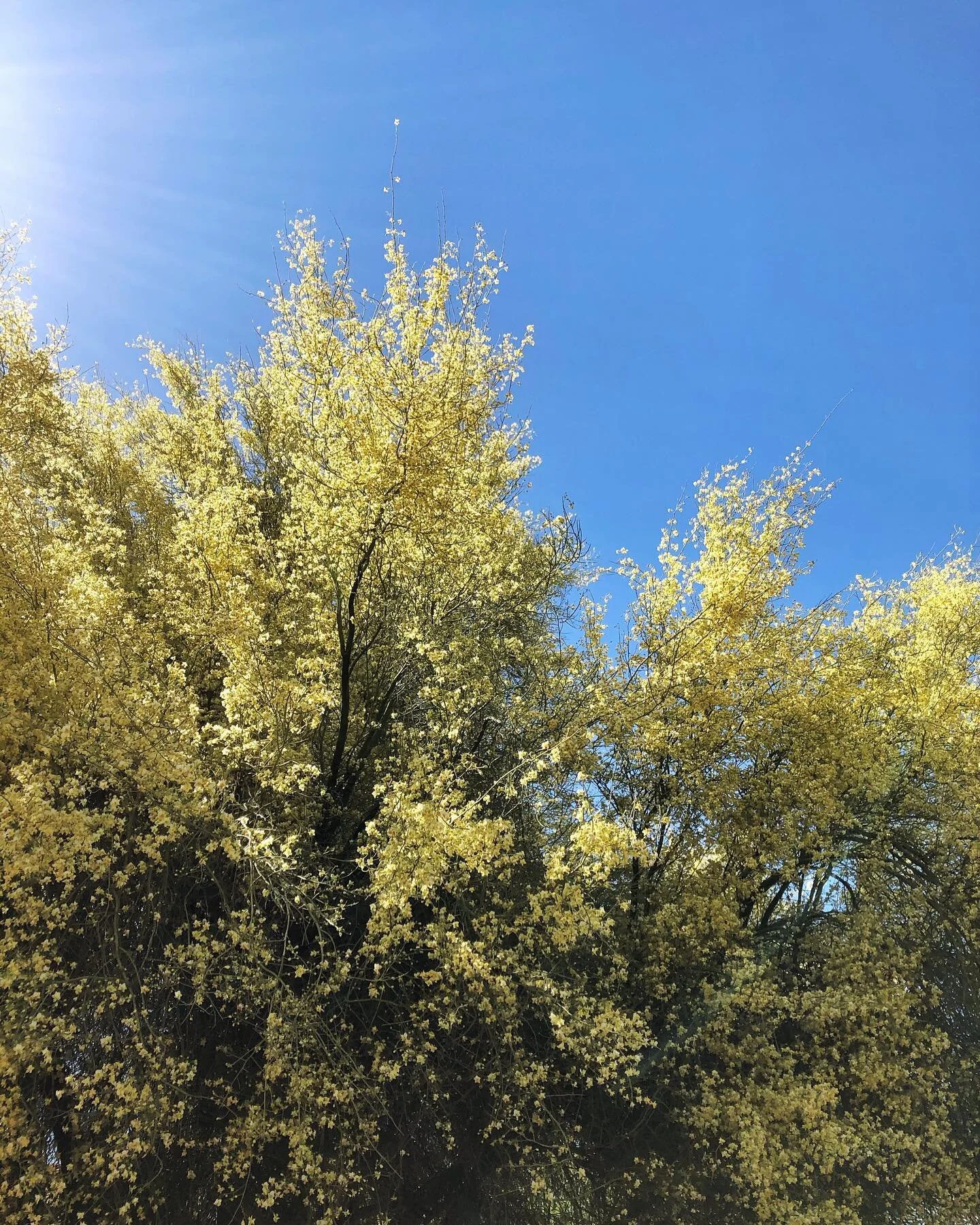 And, on the seventh year I rested. 😂 But seriously and perfectly so, rest has come after six years previous years of HARDDDDD. God&rsquo;s timing is funny. I would argue, however, that rest has been more challenging than the doing because it feels v