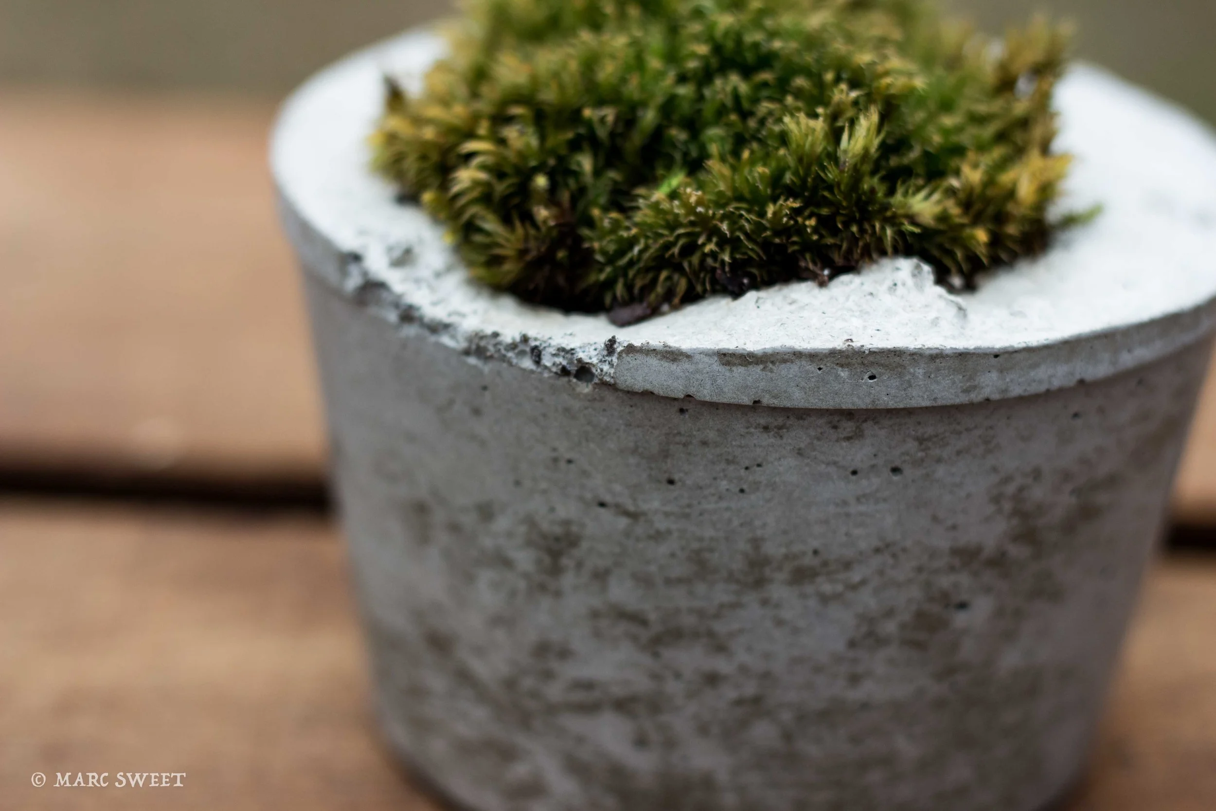 Short planter detail