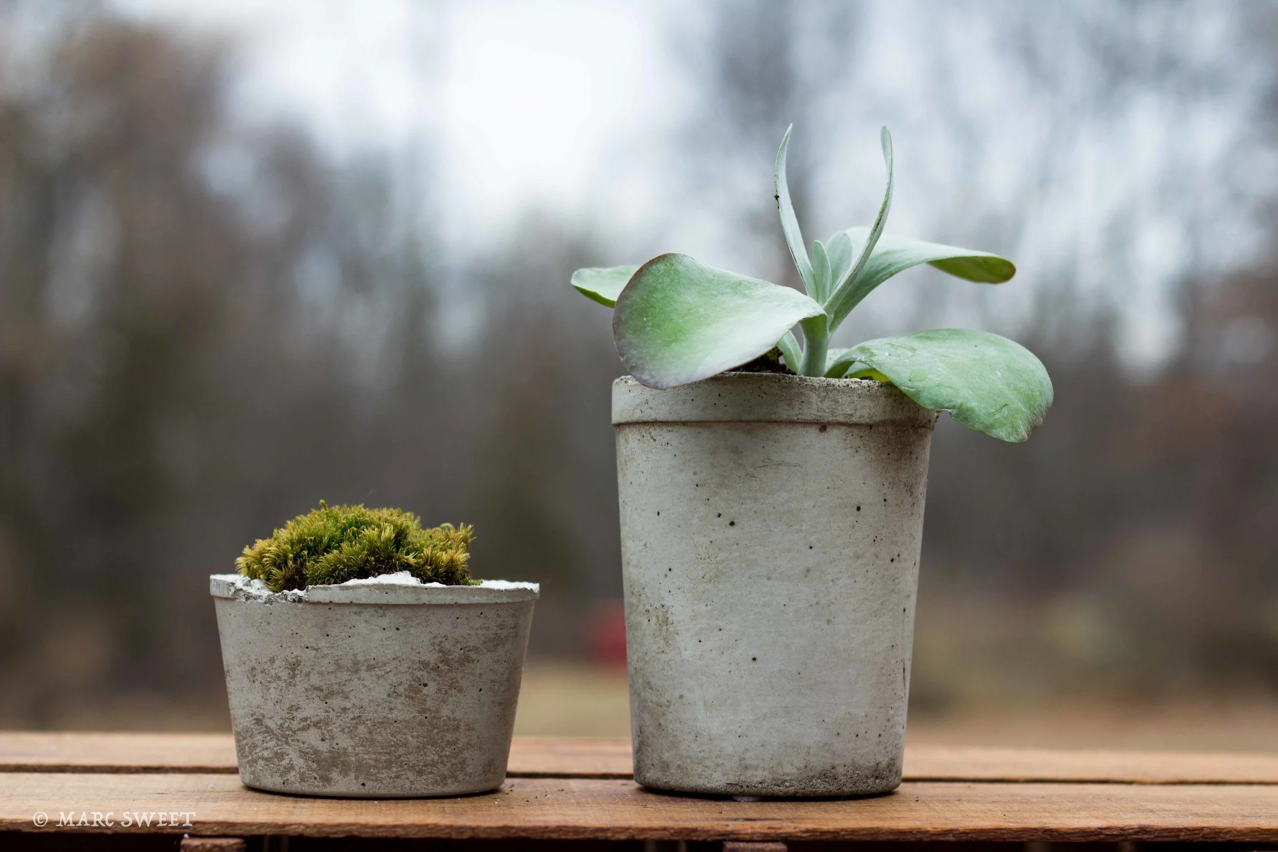 Two planters