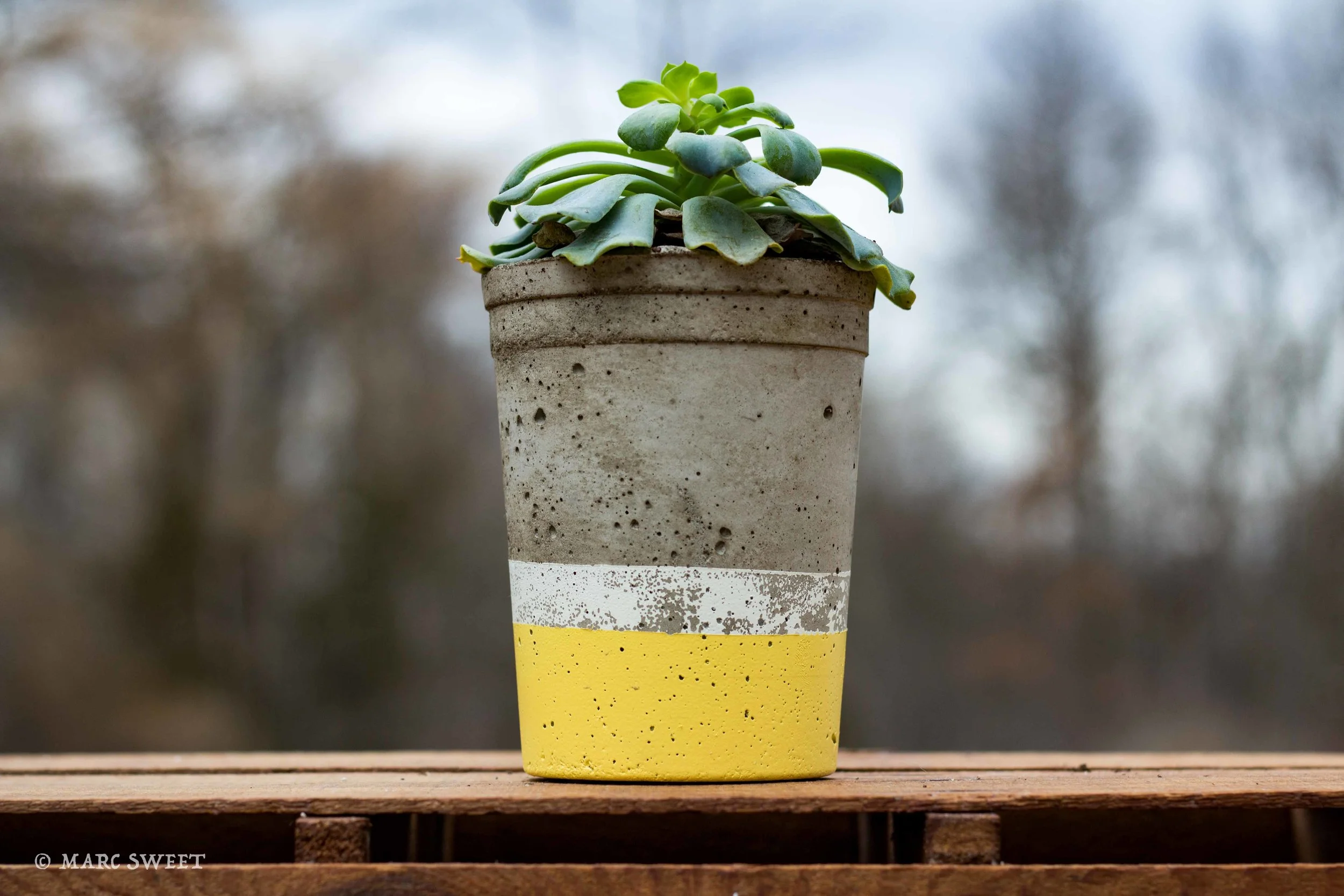 Tall planter 1