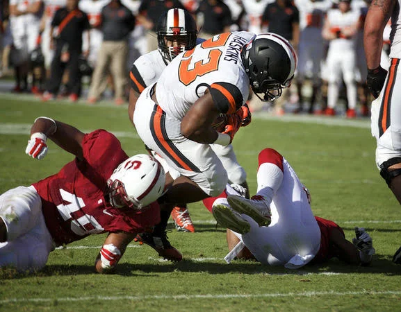 Haskins 10.jpg