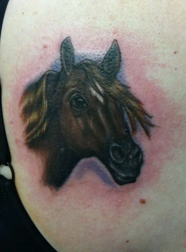 horse.jpg