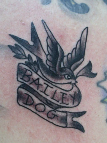 b dog.jpg