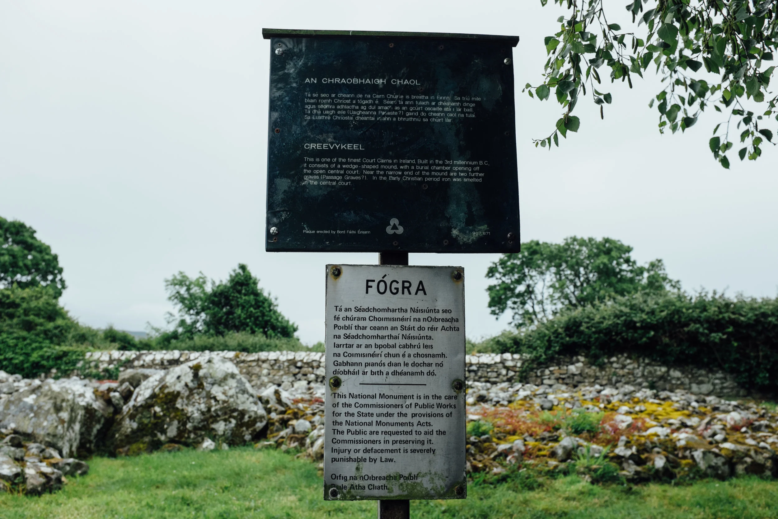 DSCF4551.jpg