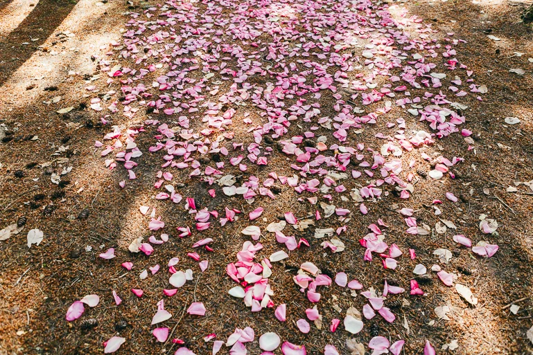 kitsap-state-park-wedding-0046.jpg
