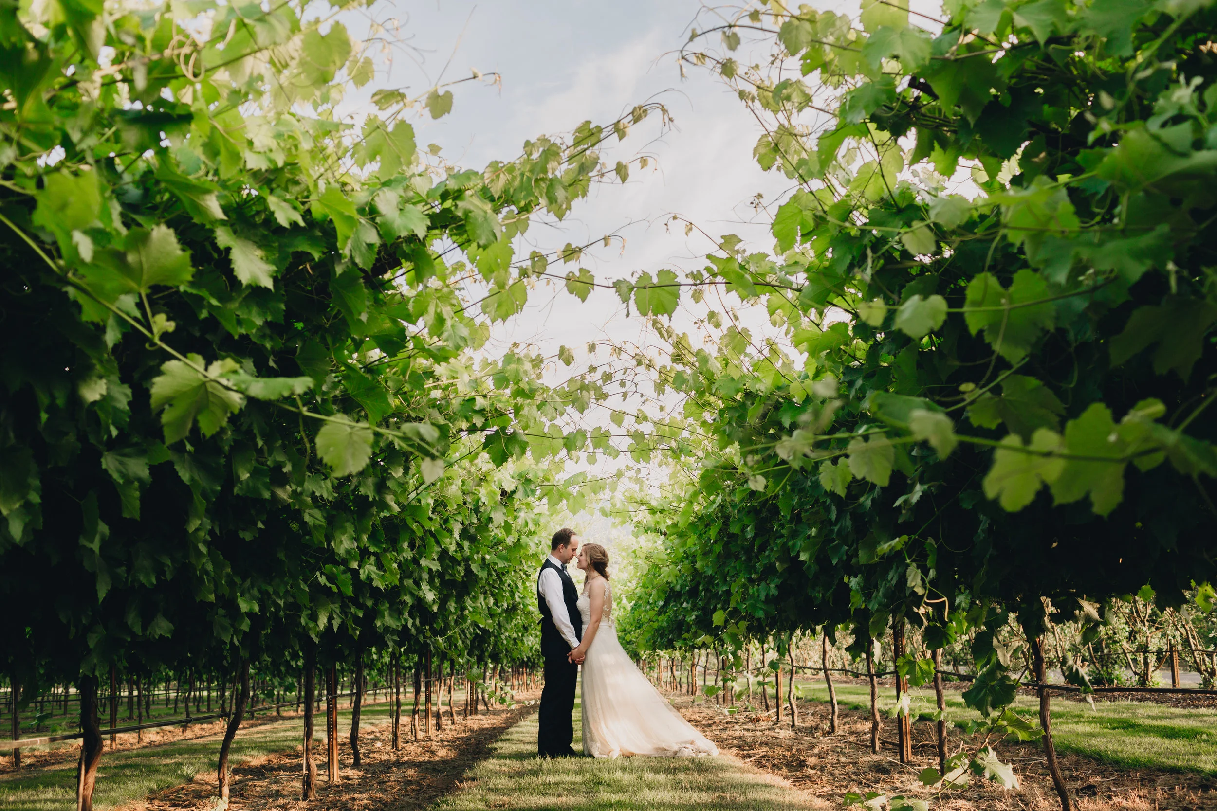 Natalie-Shayfer-Wedding_Portraits-0167.jpg