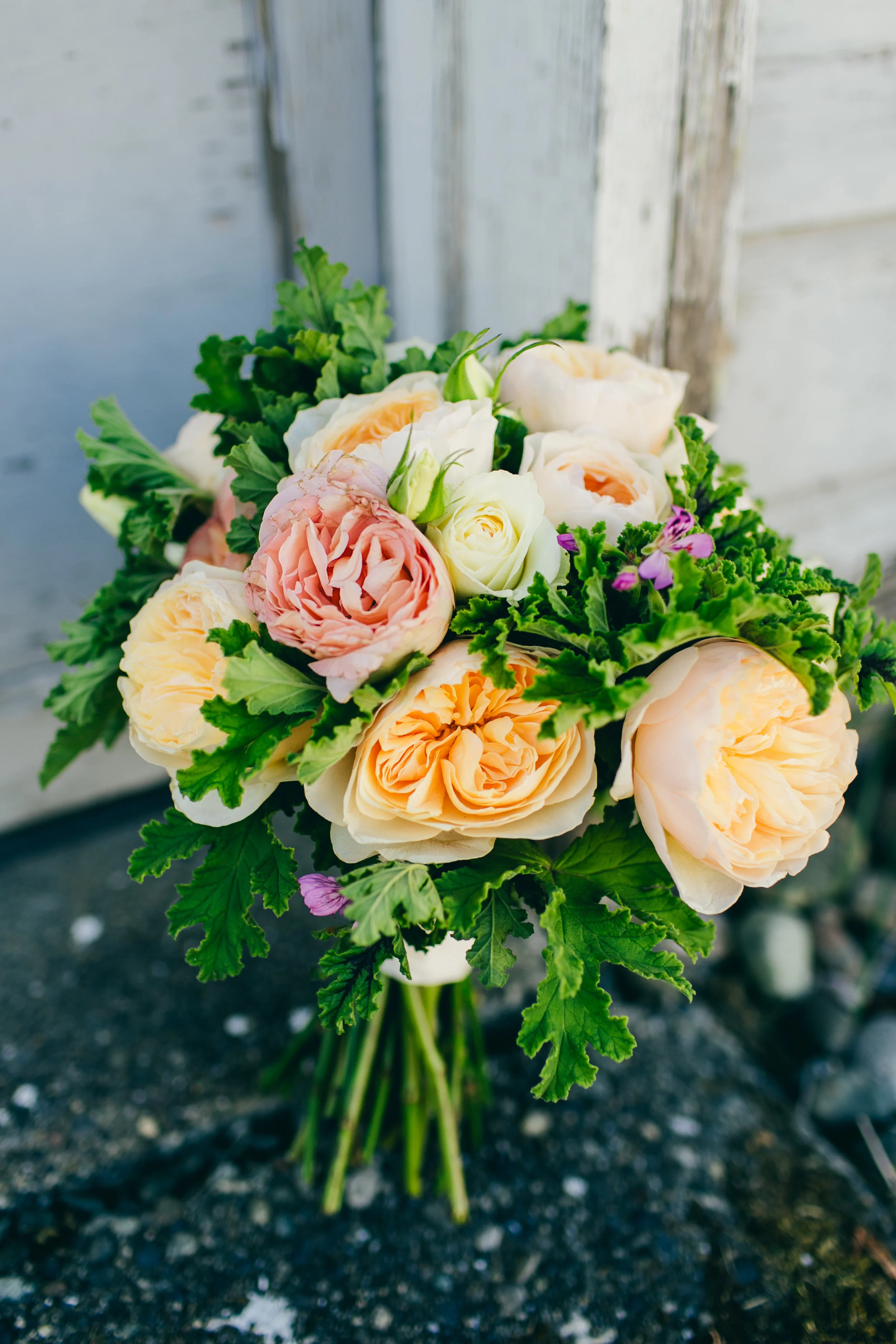 reneeericksondanialcrookstonwedding-highlights-00181.jpg