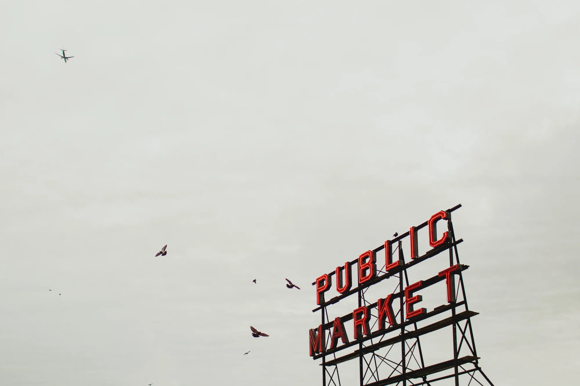 Seattle courthouse wedding photos kristawelch3.jpg