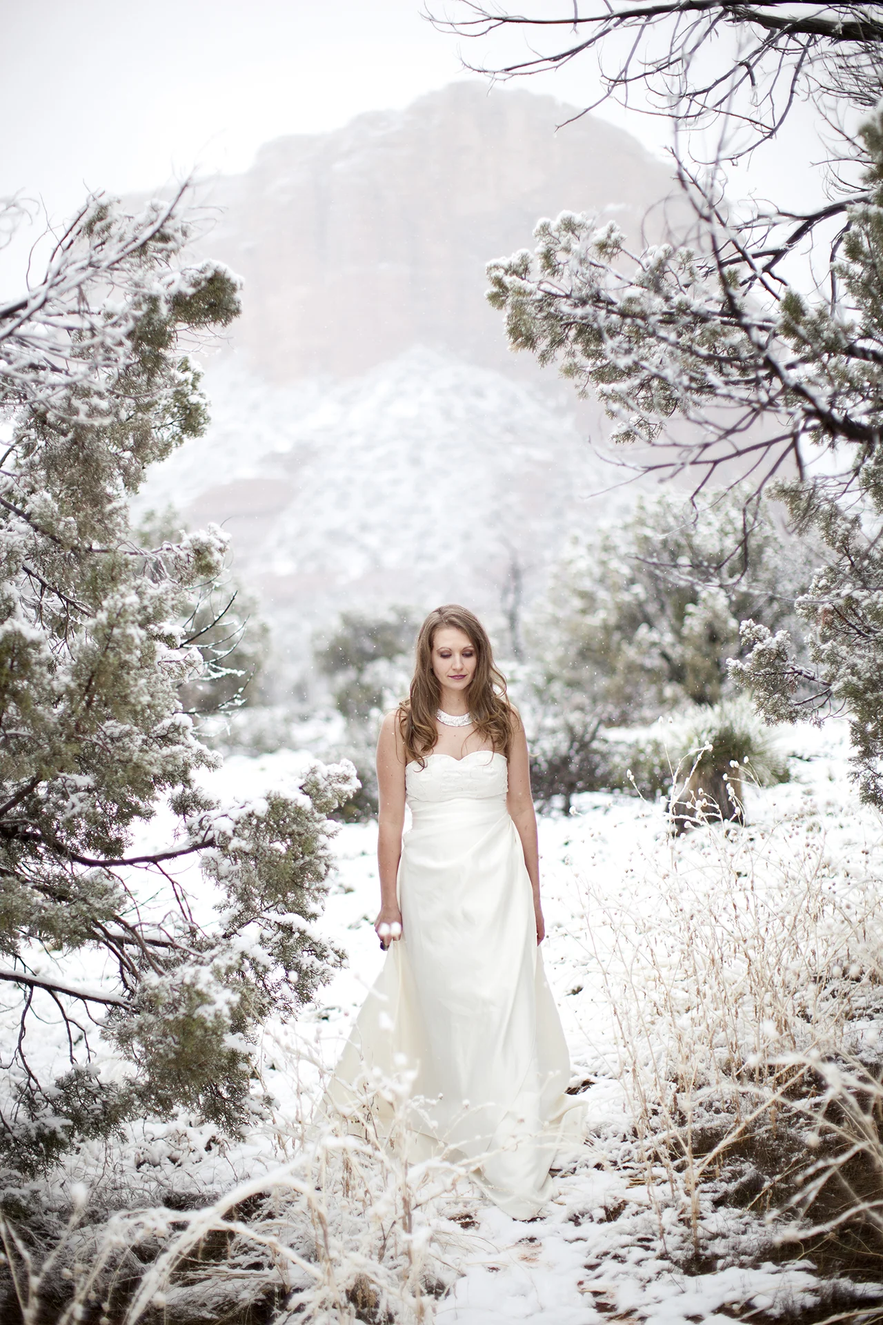 LaceHanky_Desert_Wedding_1.jpg