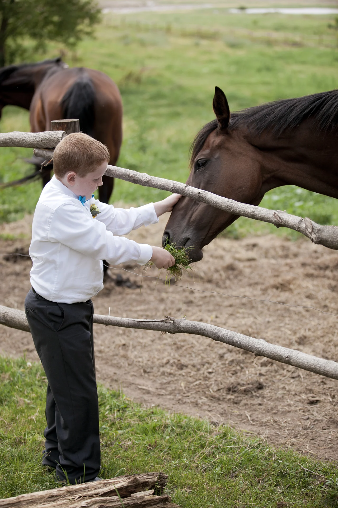 LaceHanky_Farm_Wedding_0099.jpg