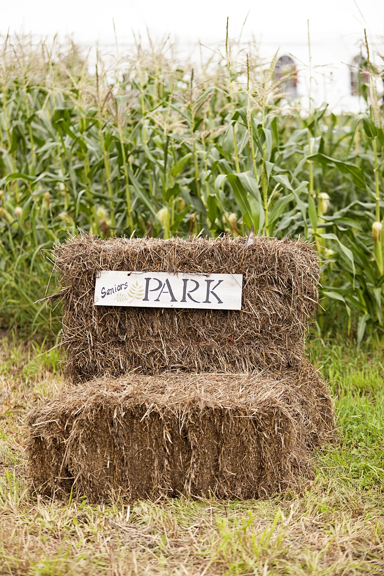 LaceHanky_Farm_Wedding_0108.jpg