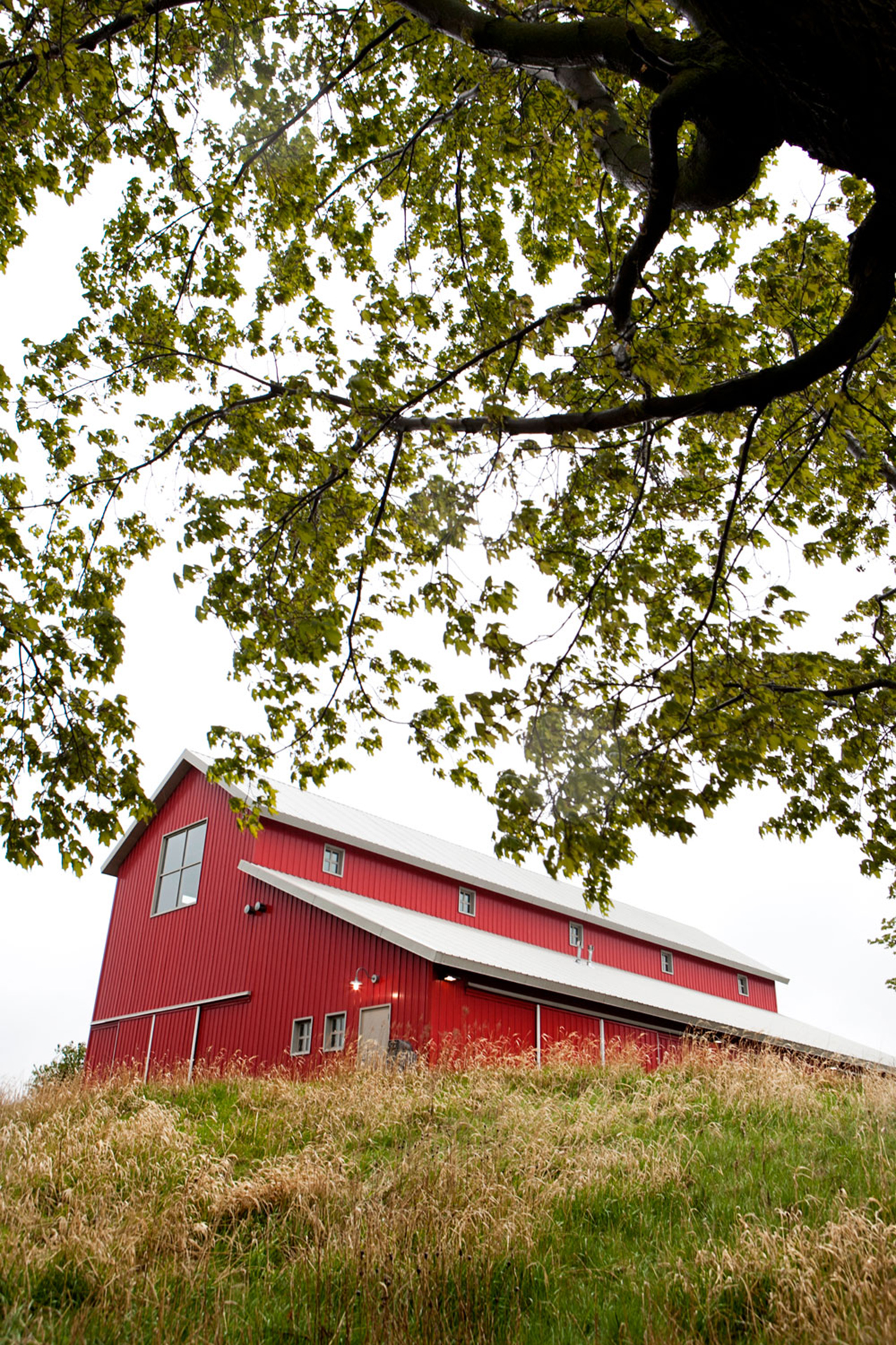 LaceHanky_Farm_Wedding_0185.jpg