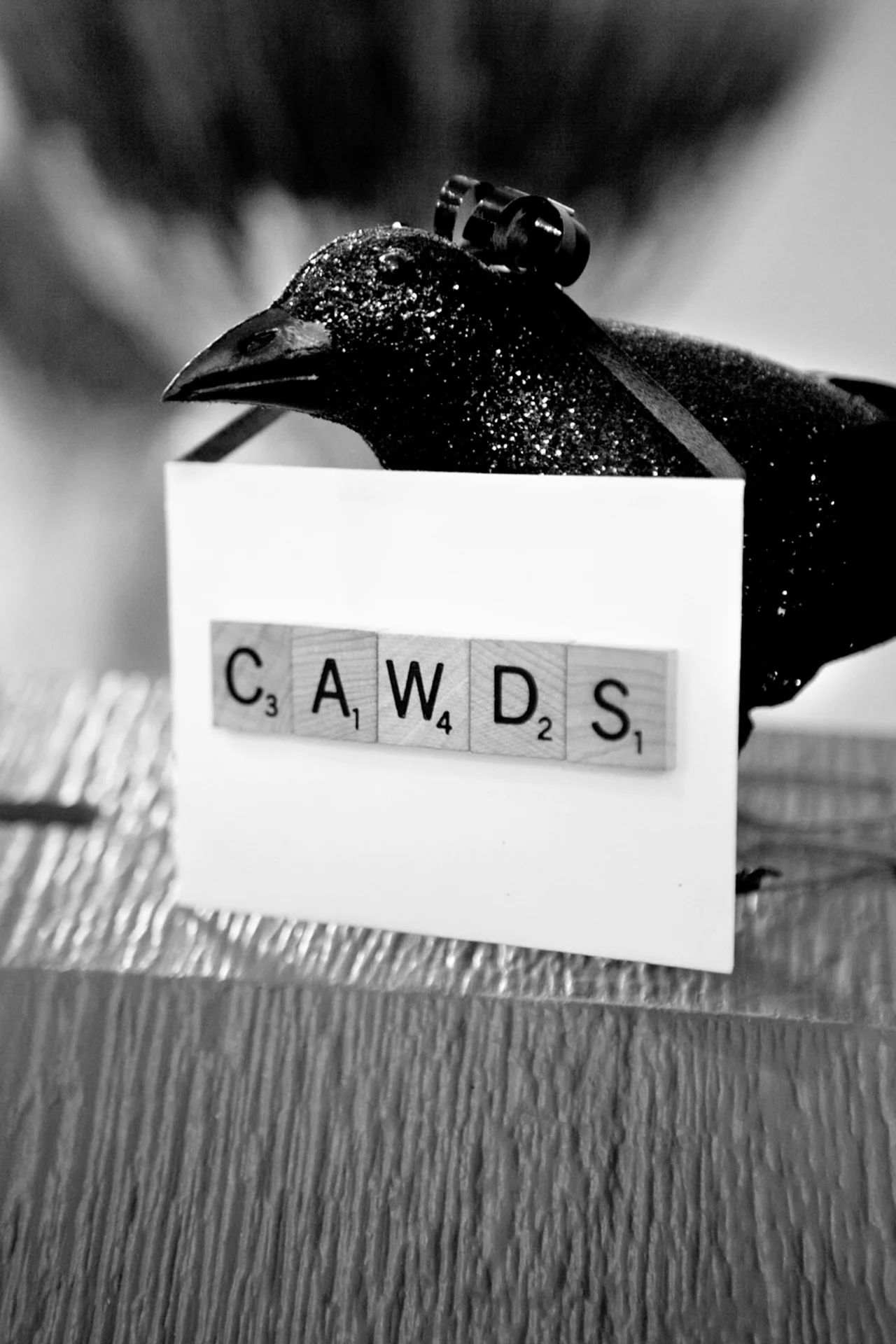 LaceHanky_Farm_Wedding_0218.jpg