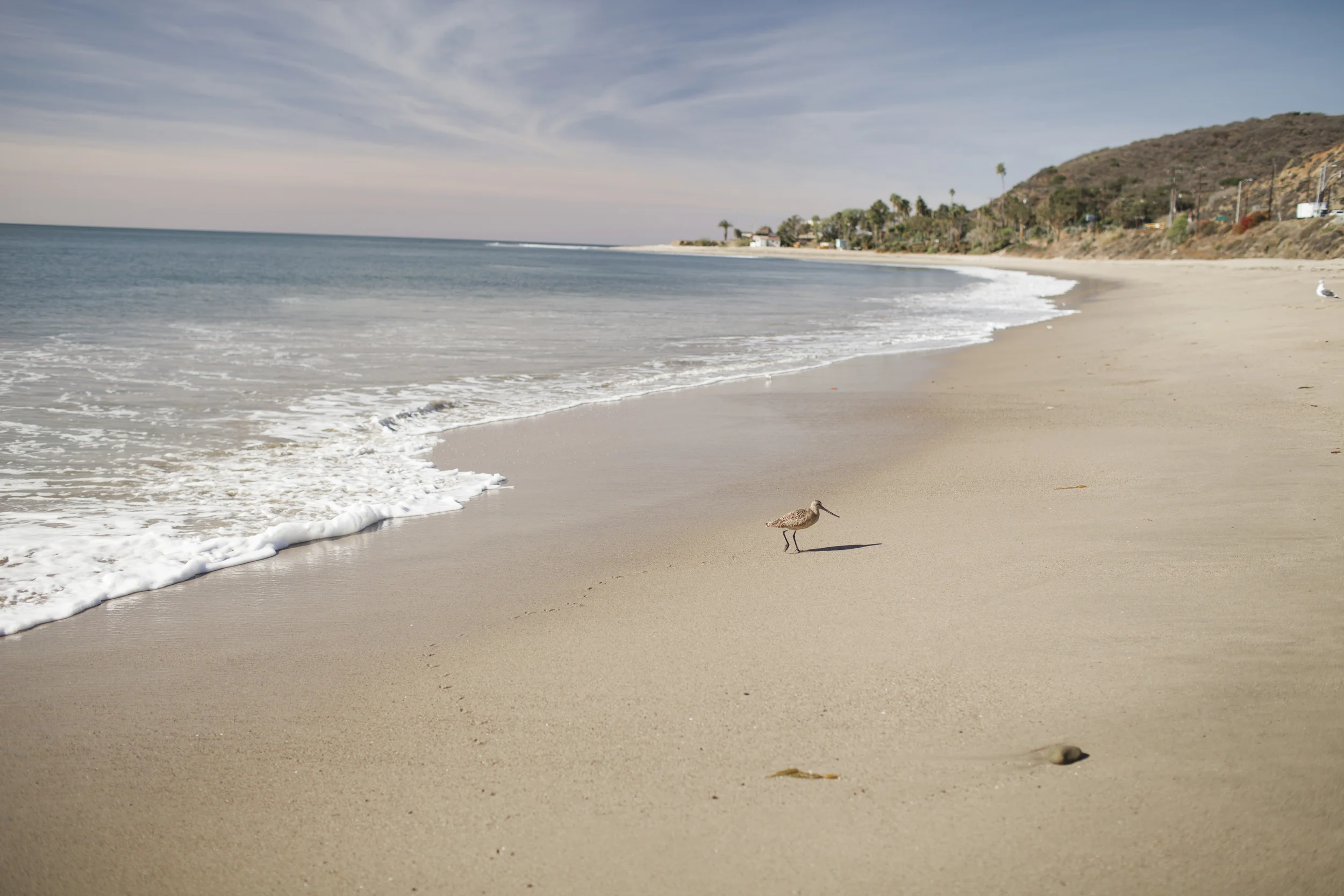 LaceHanky_Beach_Wedding_01.jpg