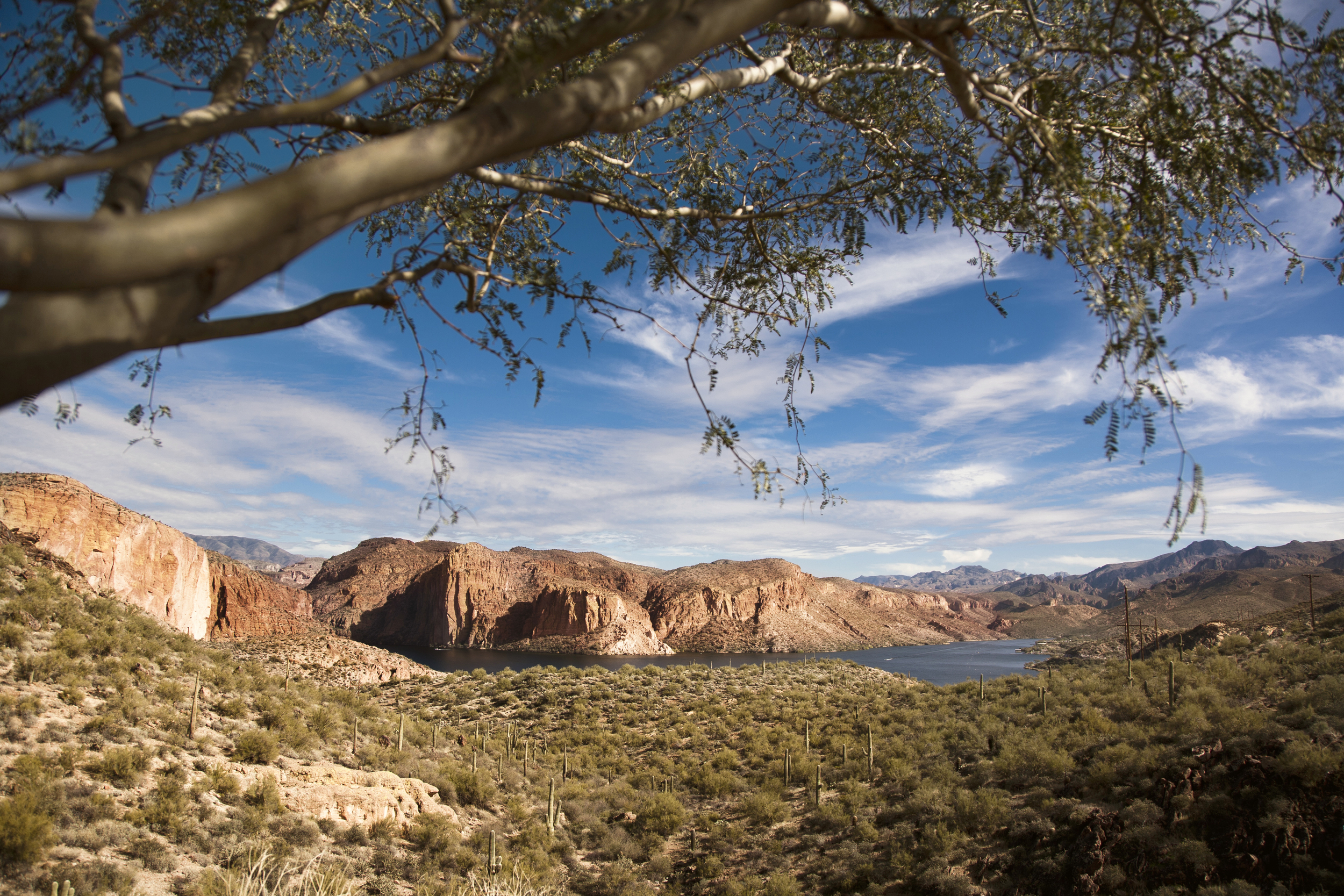 LaceHanky_Desert_Wedding_0016.jpg