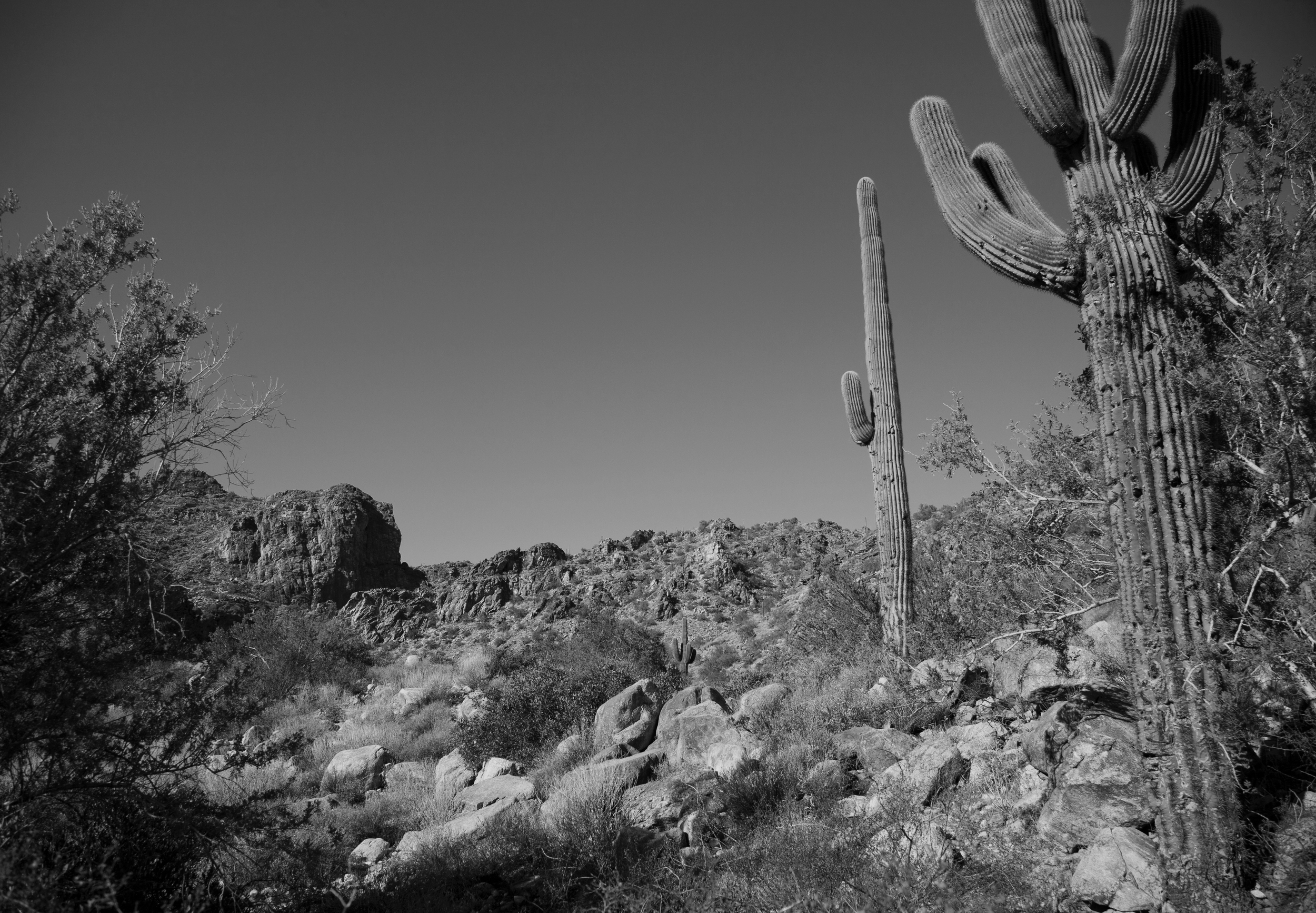 101225_Phoenix_1674-1.jpg