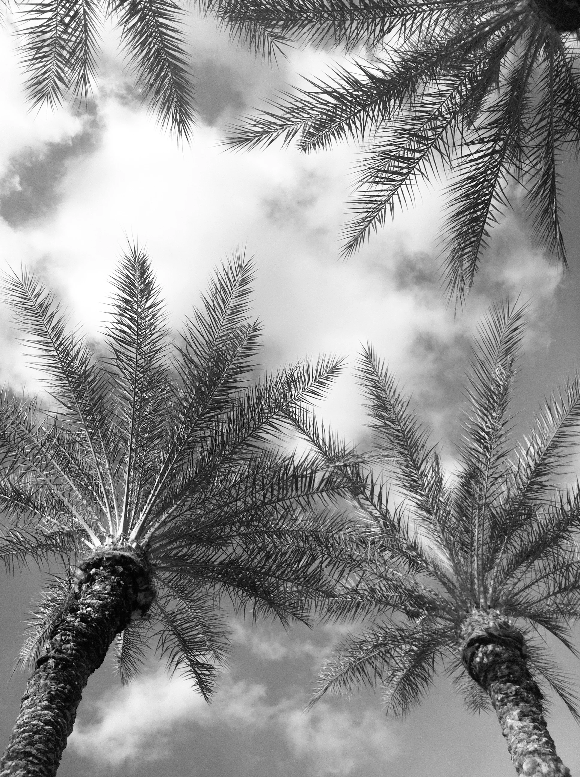 LaceHanky_Beach_Wedding_00018.jpg