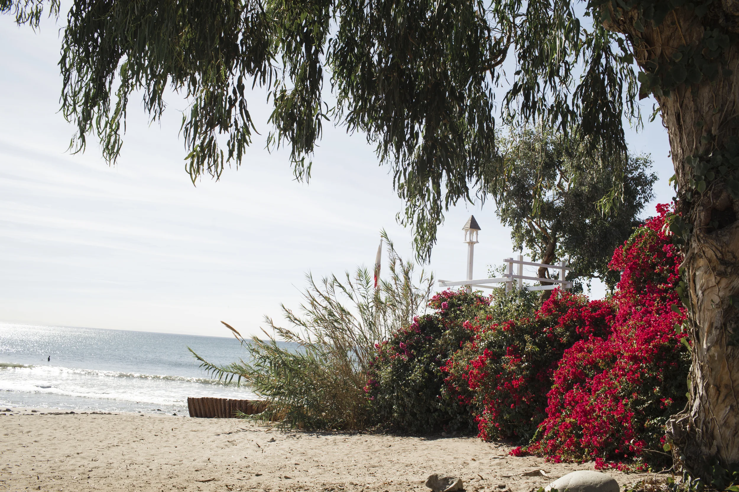 LaceHanky_Beach_Wedding_00028.jpg