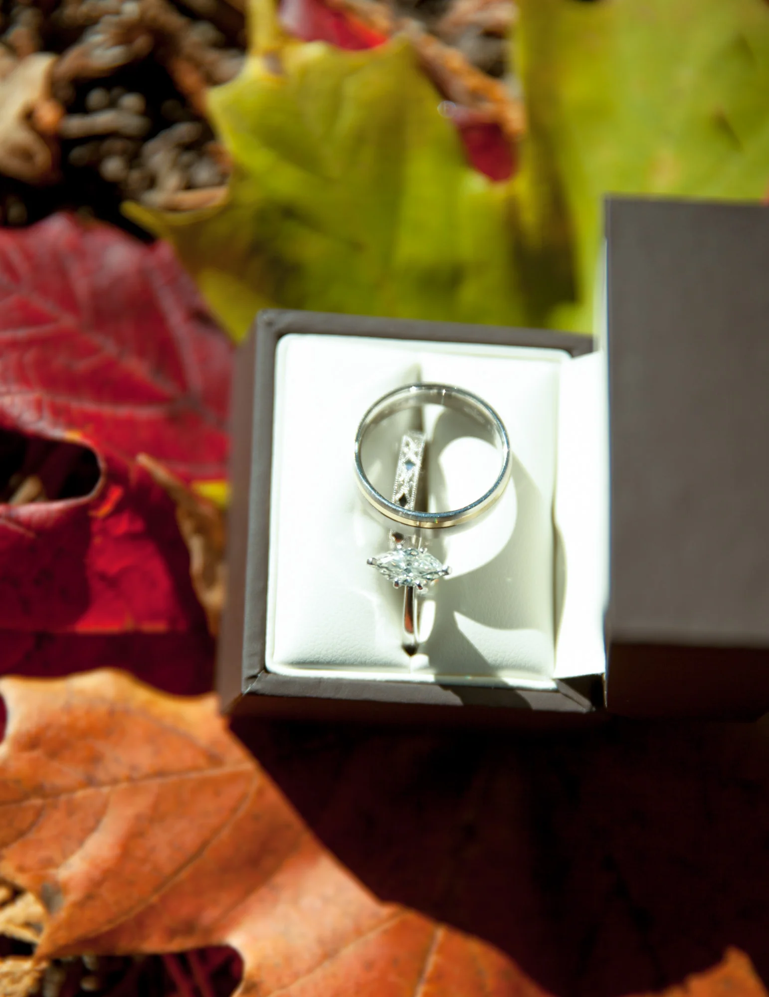 141011_DP_0097.jpg