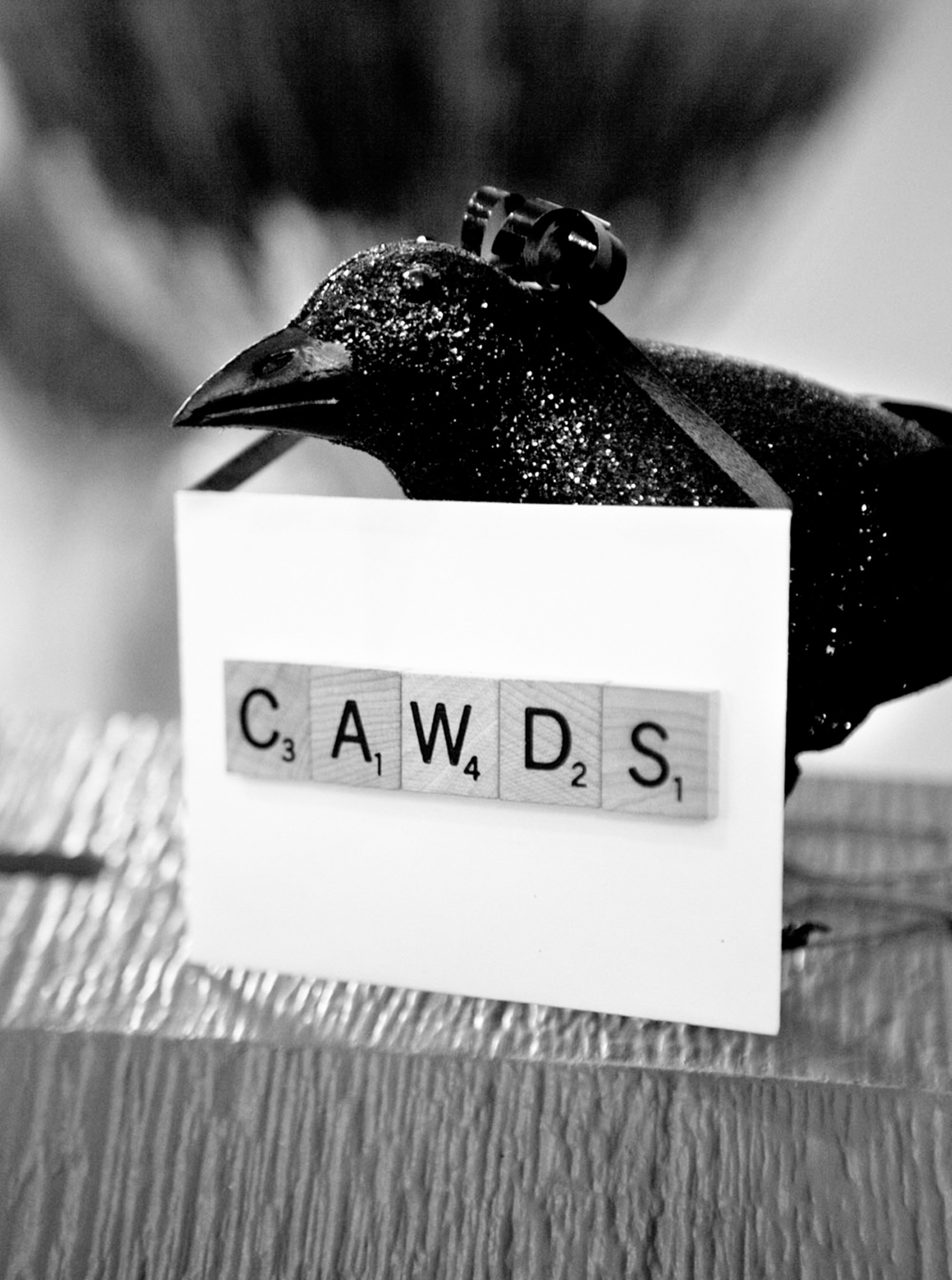 LaceHanky_Farm_Wedding_0218.jpg