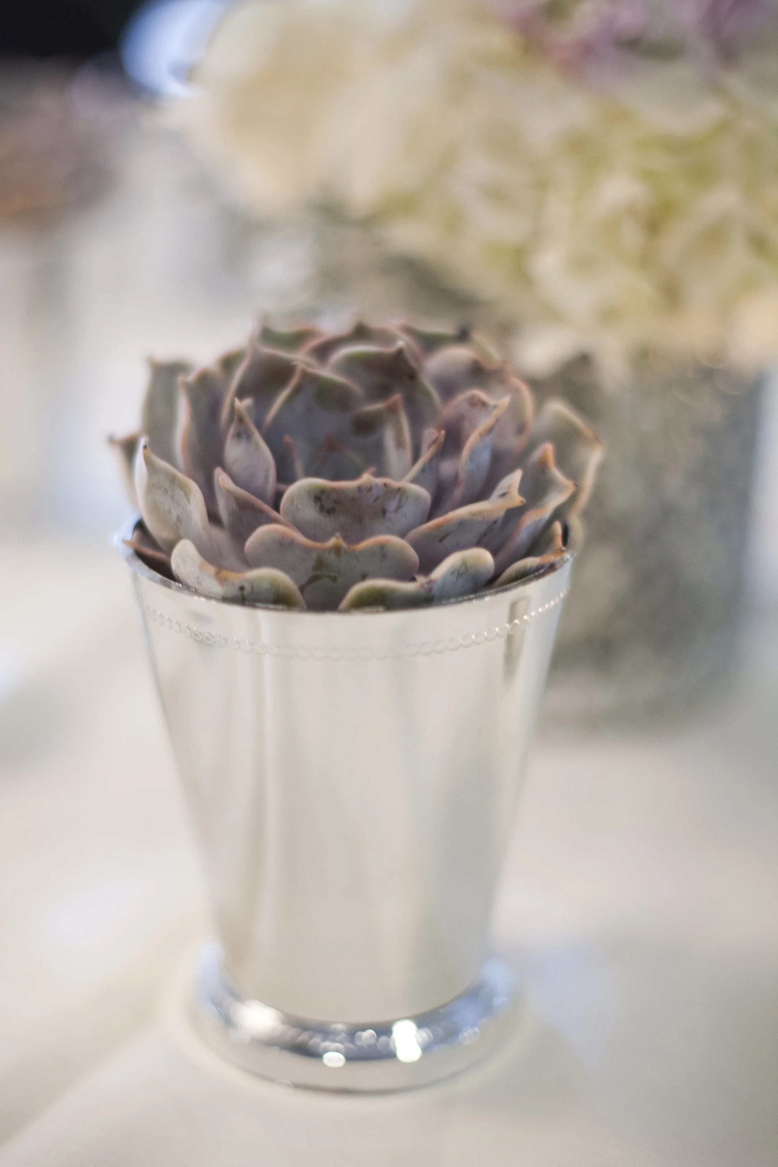 LaceHanky_Desert_Wedding_00036.jpg