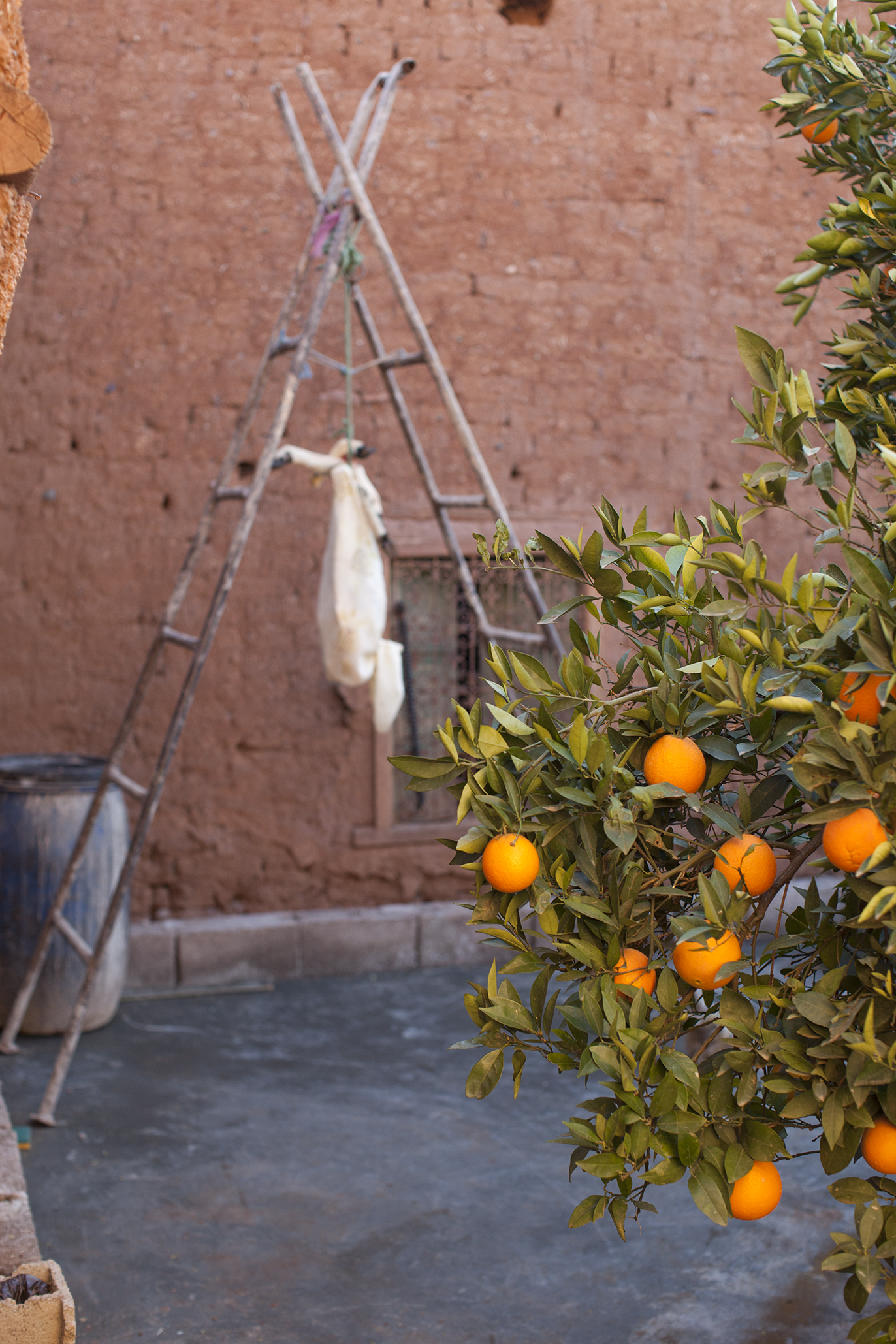 029_2011_Morrocco_9089.jpg