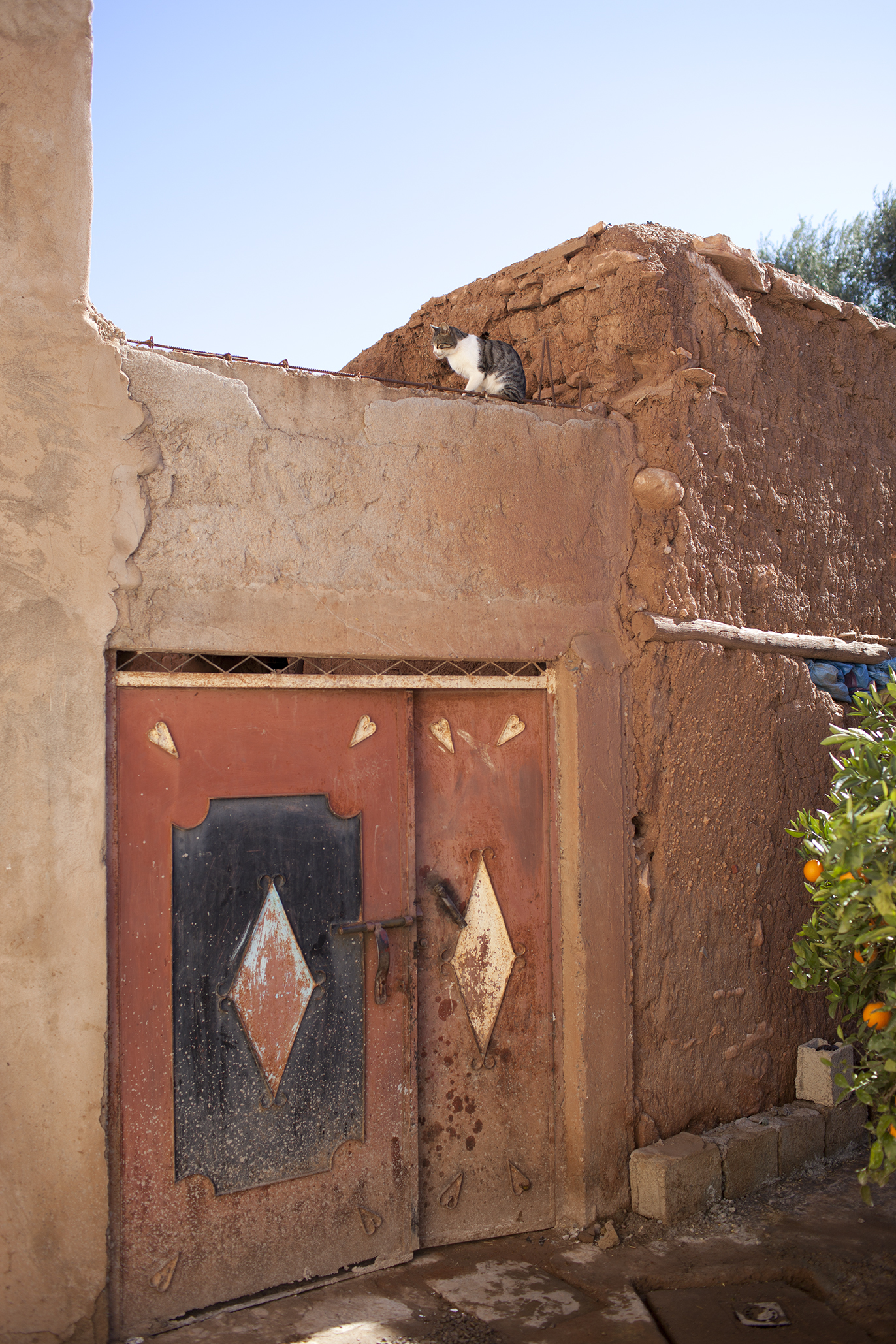 032_2011_Morrocco_8710.jpg
