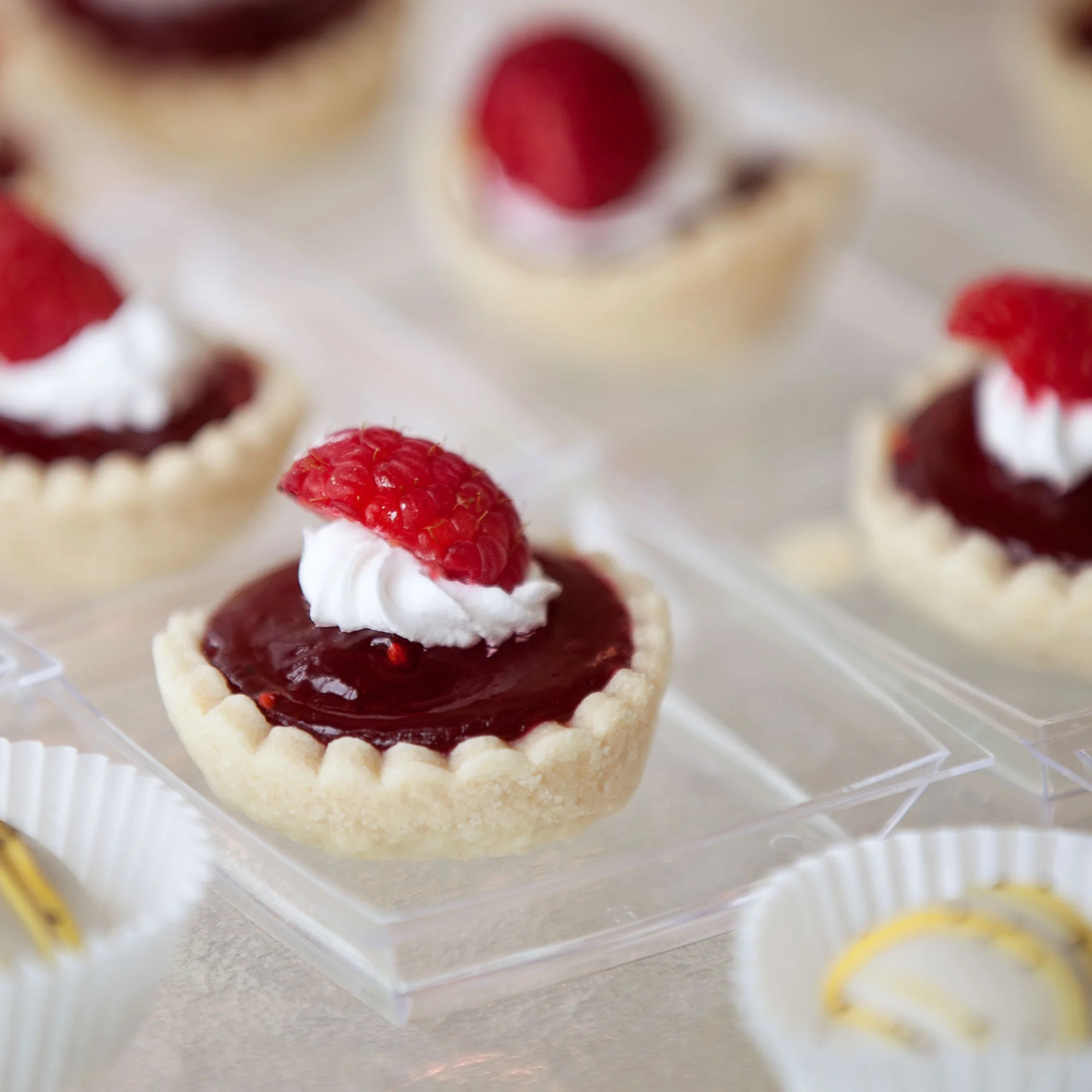 014_LaceHanky_Sweets_TBT010.jpg