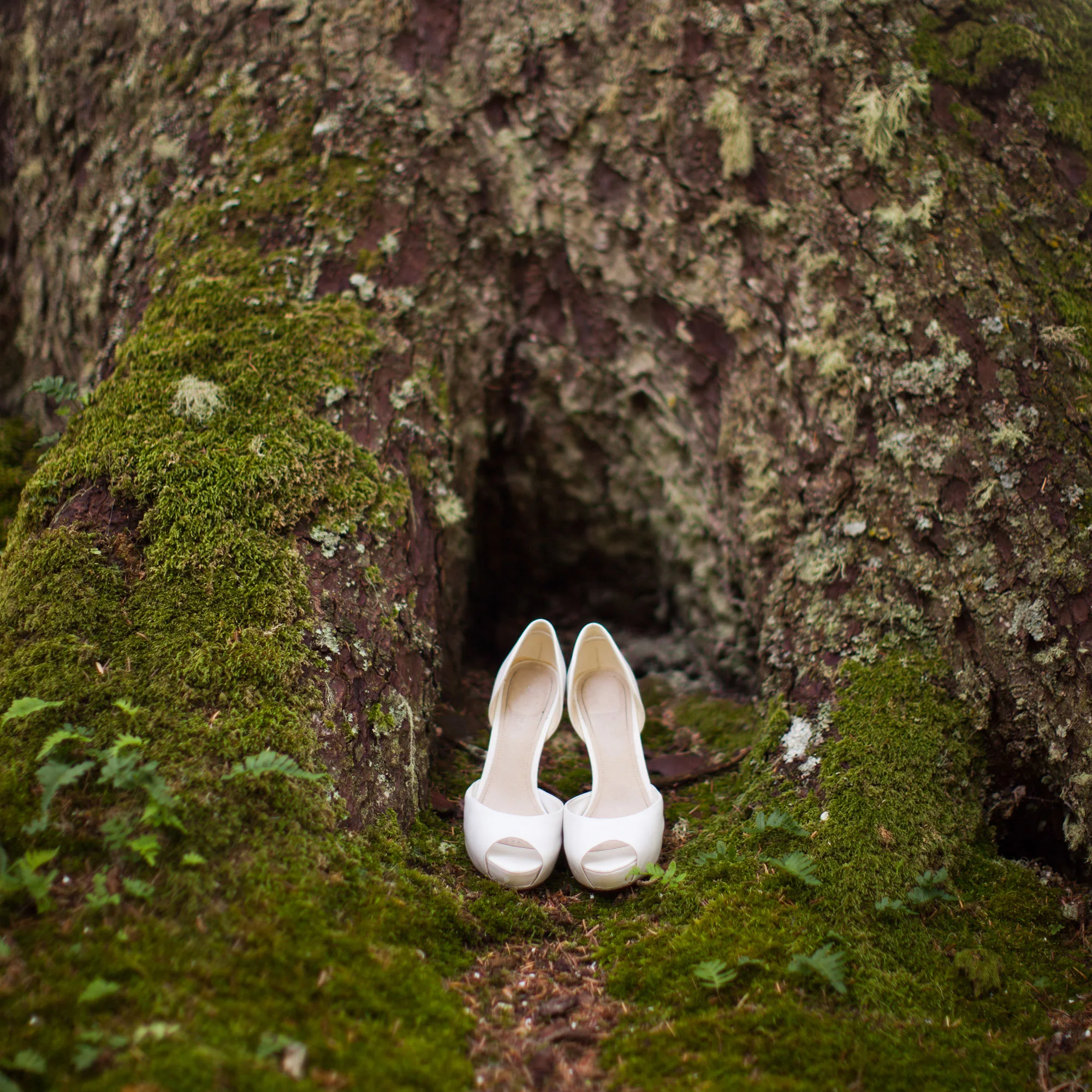 056_LaceHanky_Shoes_TBT006.jpg