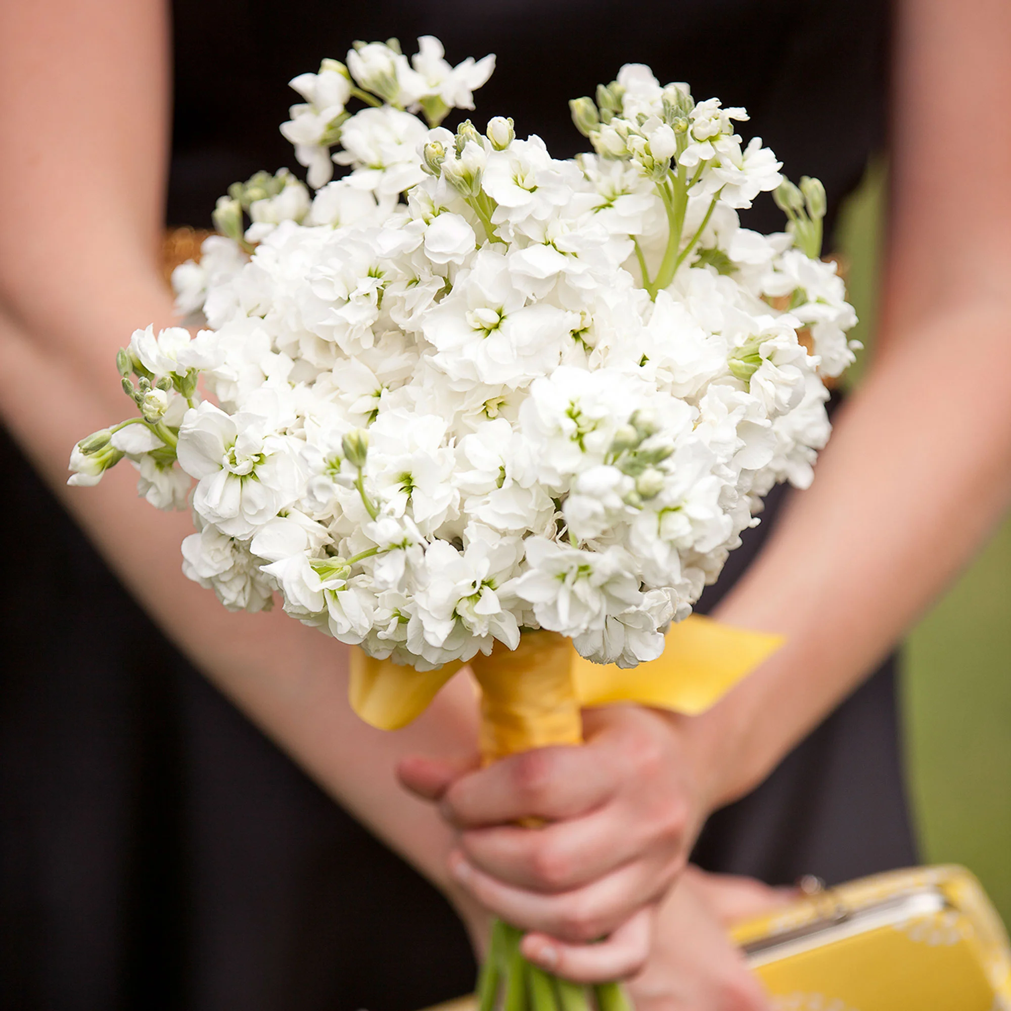 062_LaceHanky_Flowers_TBT015.jpg