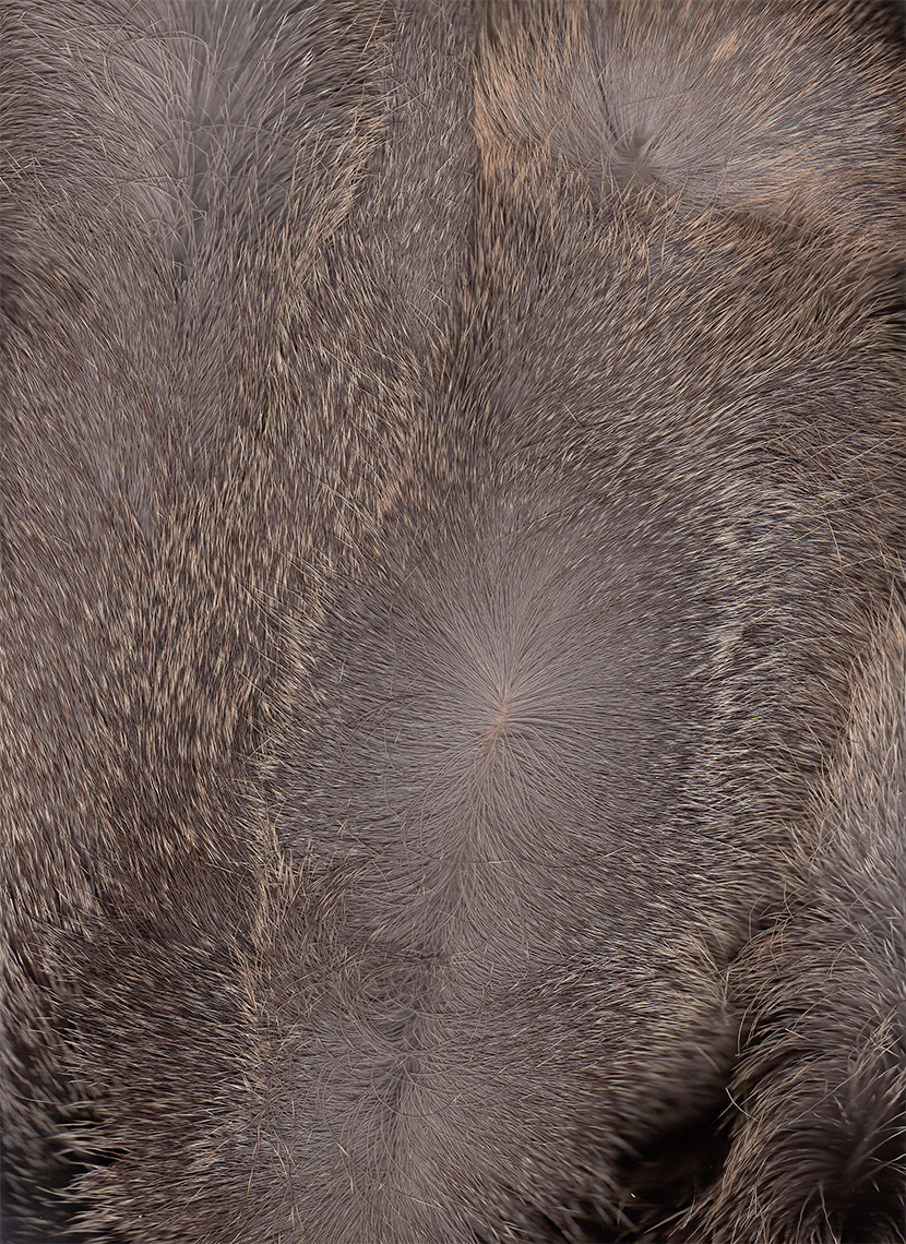 m_DeerSkin_BOW_014.jpg