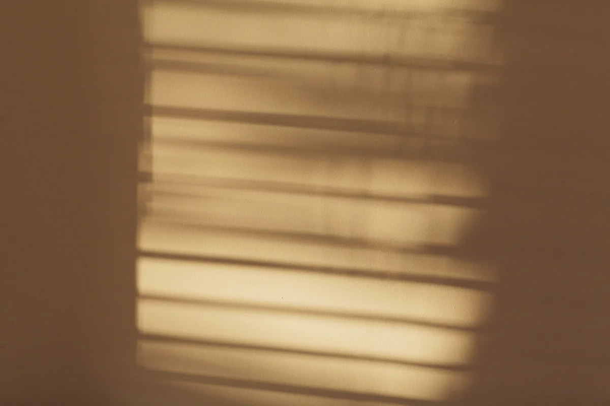 160219_03.jpg