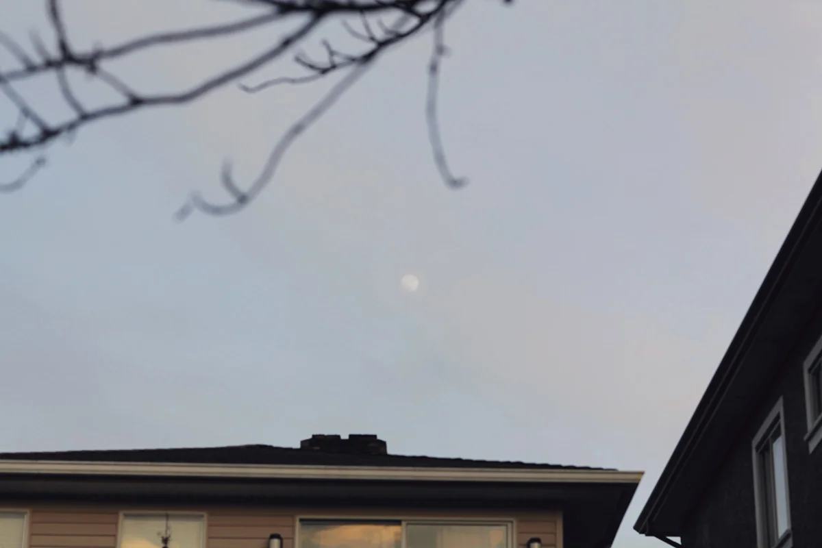 160219_16.jpg