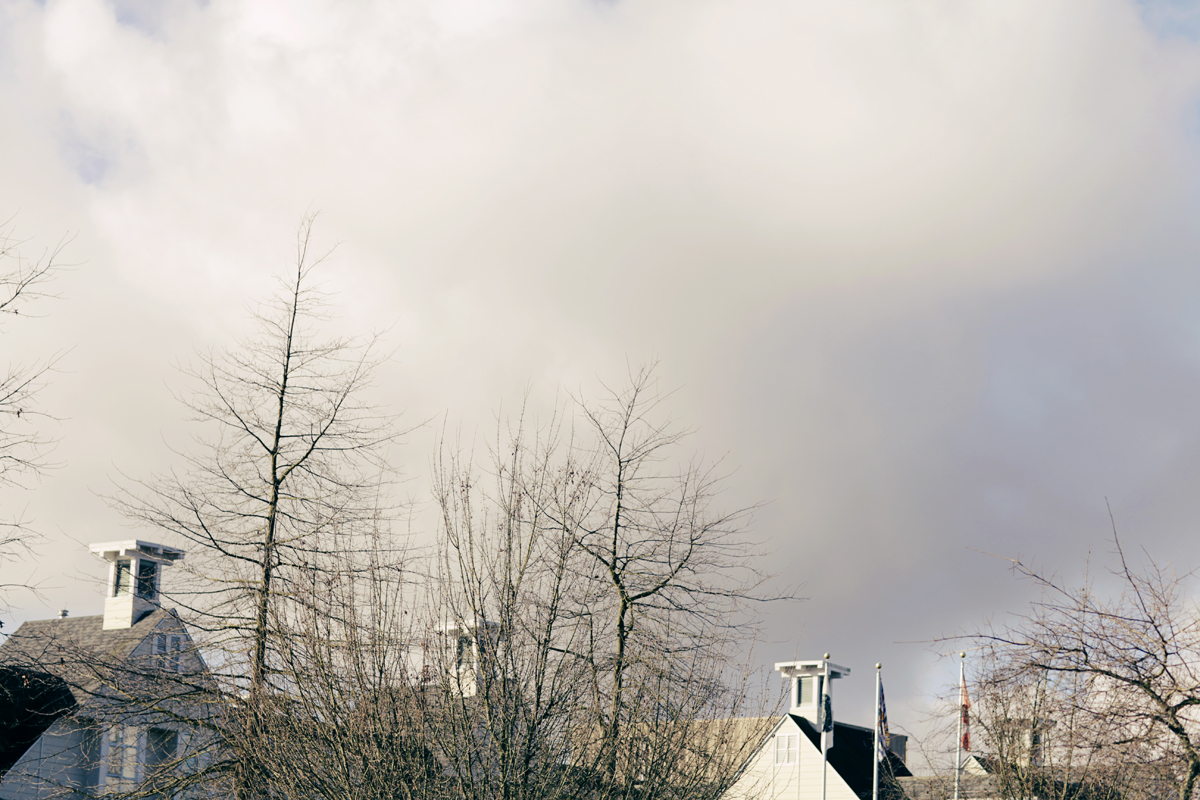 160222_03.jpg