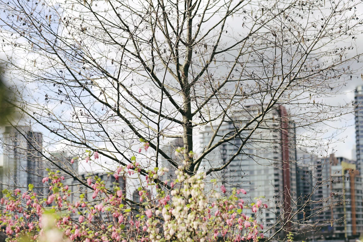 160305_26.jpg