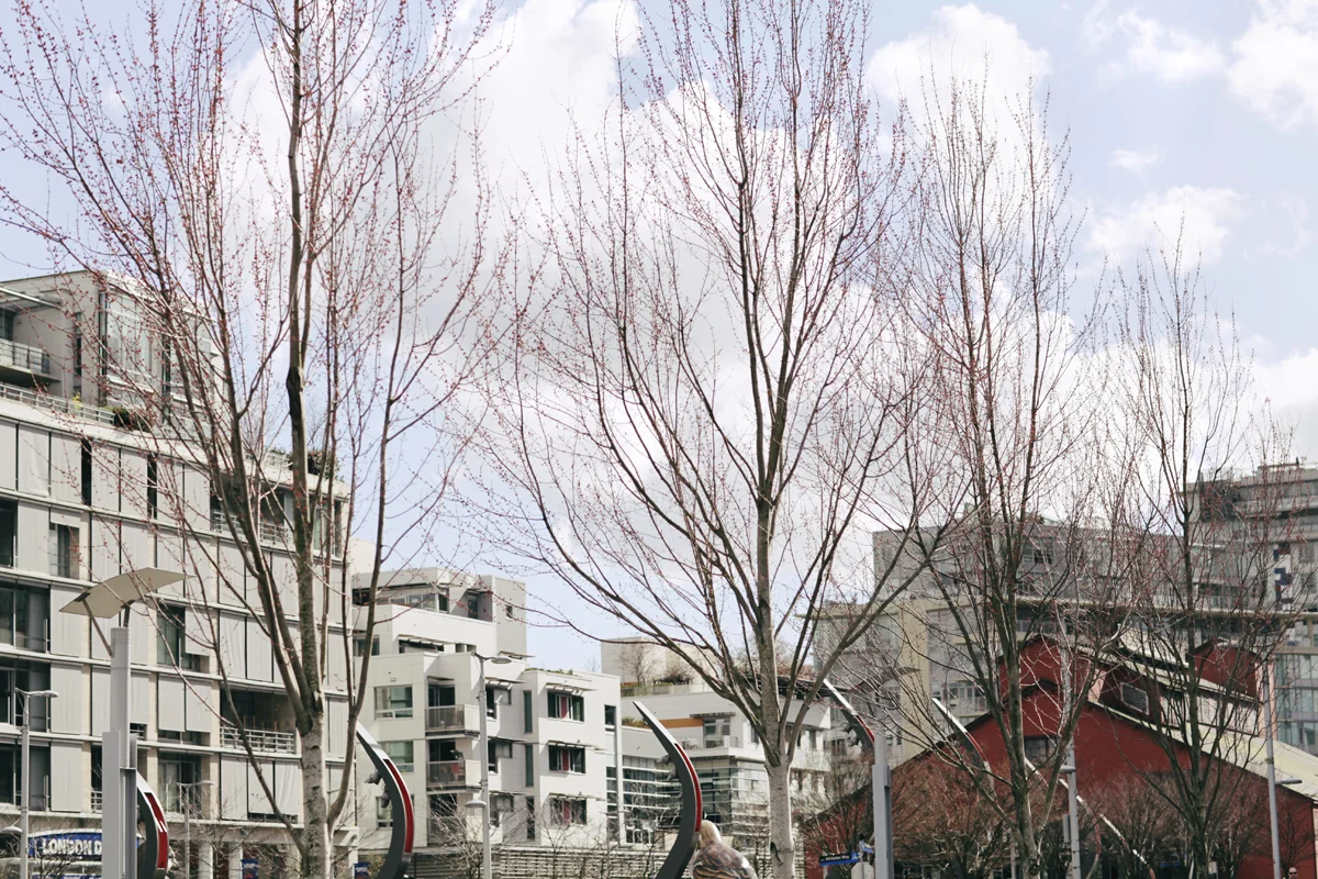 160305_27.jpg