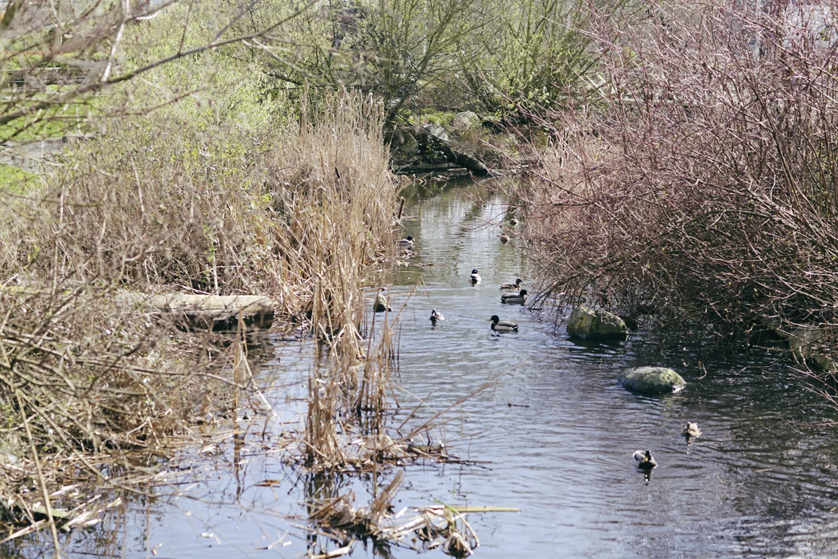 160305_44.jpg