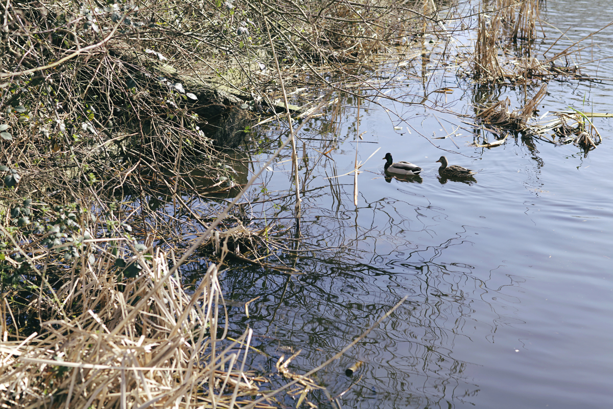 160305_45.jpg
