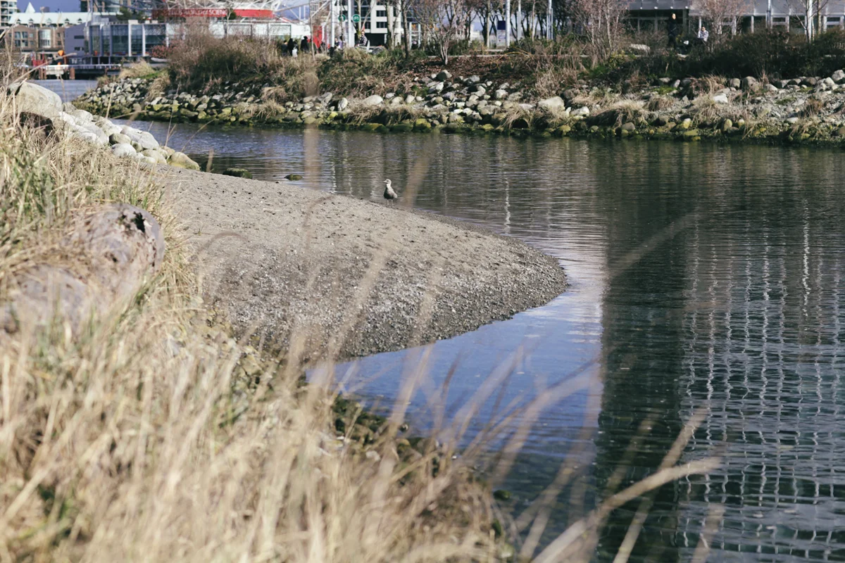 160305_55.jpg