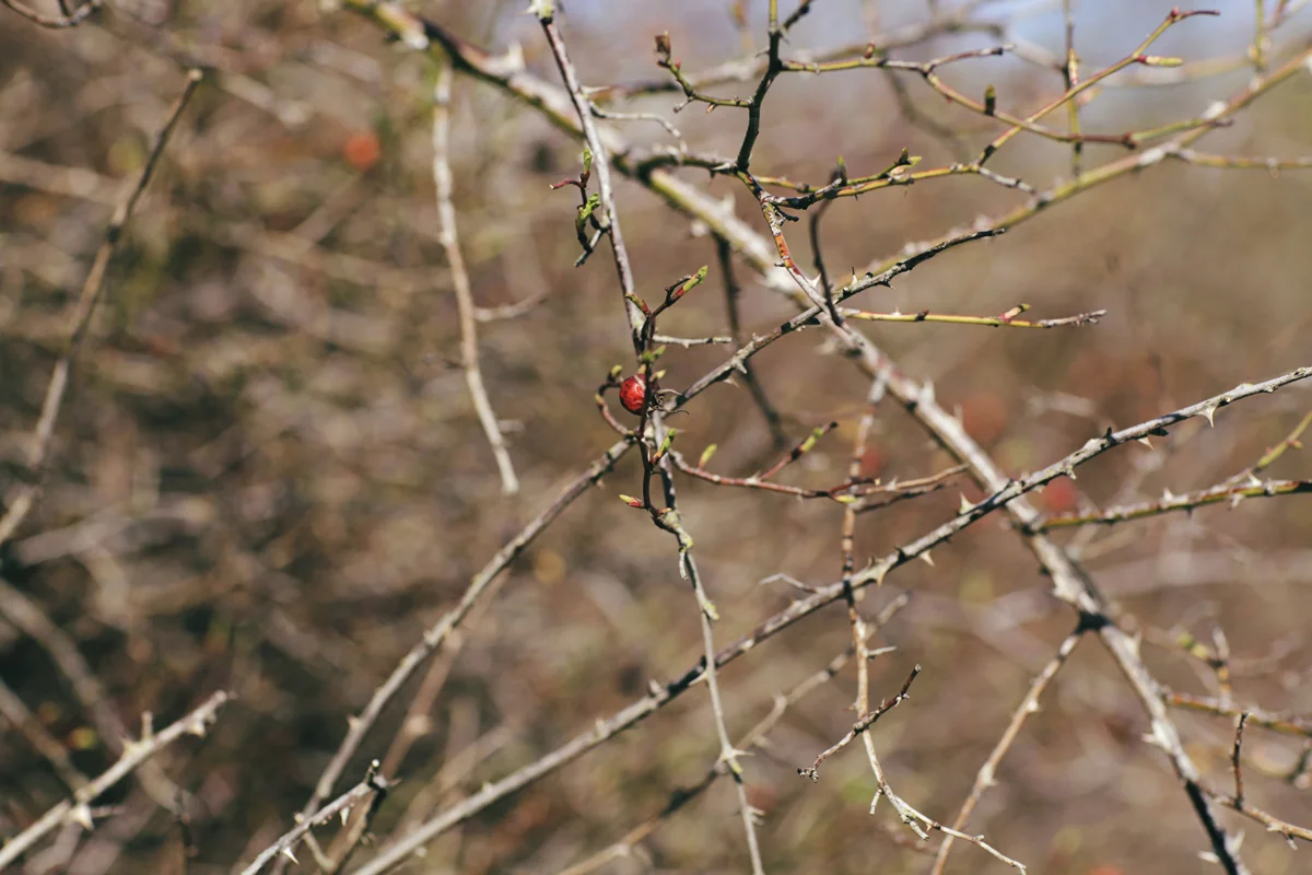 160305_69.jpg