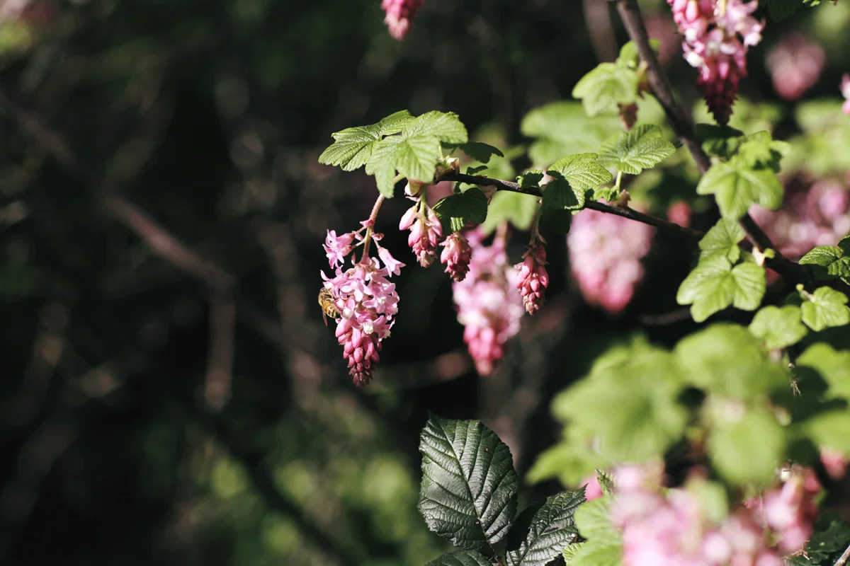 160305_68.jpg