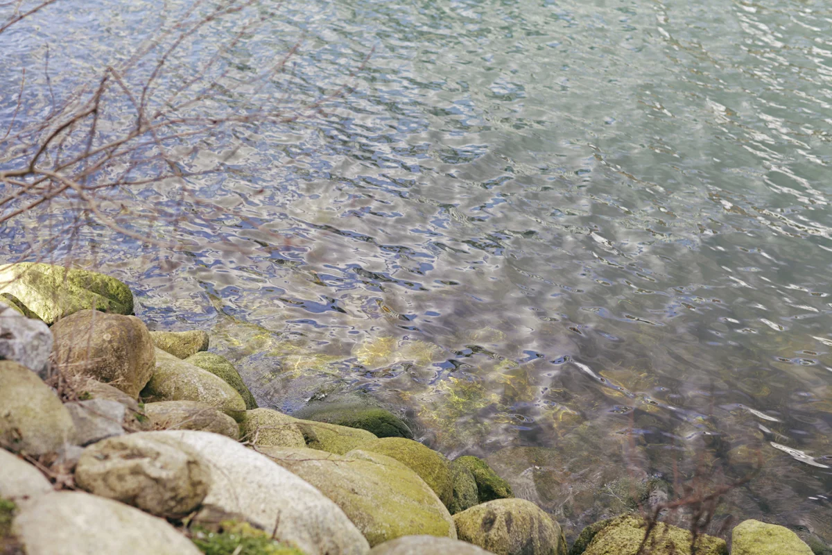 160305_83.jpg
