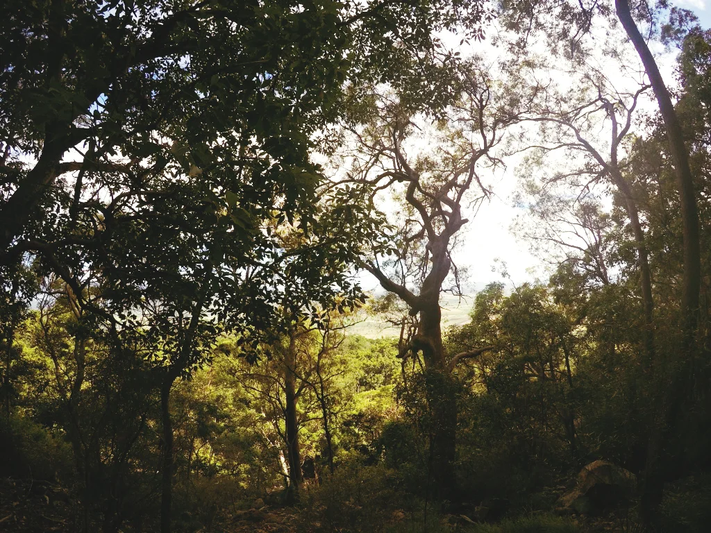 160210_18.jpg