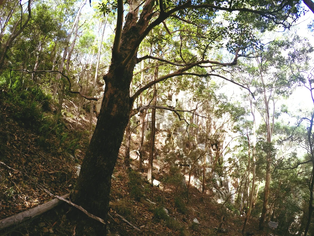160210_24.jpg