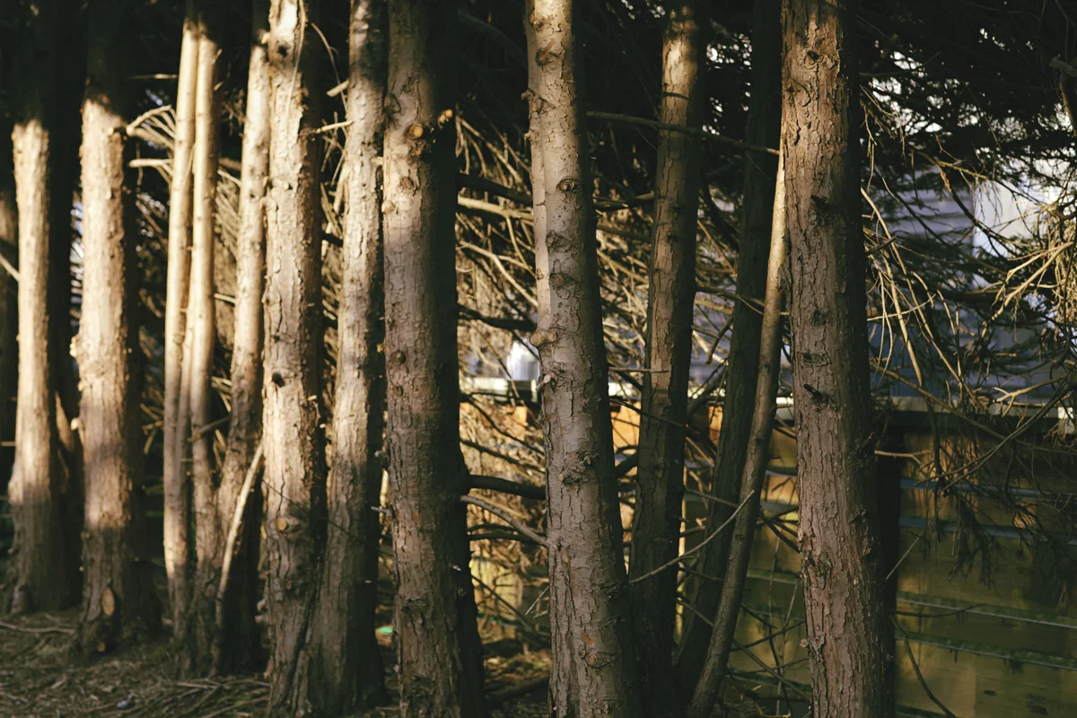 160410_10.jpg
