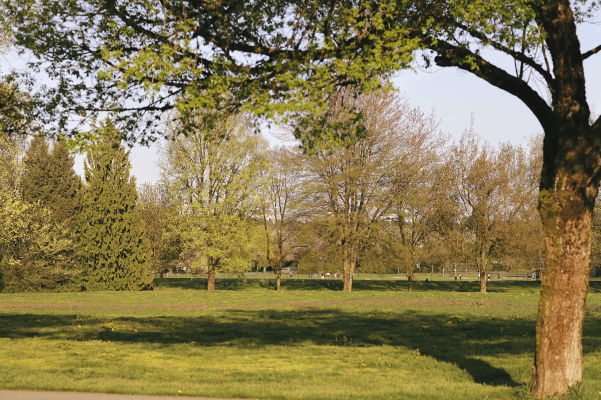 160410_19.jpg
