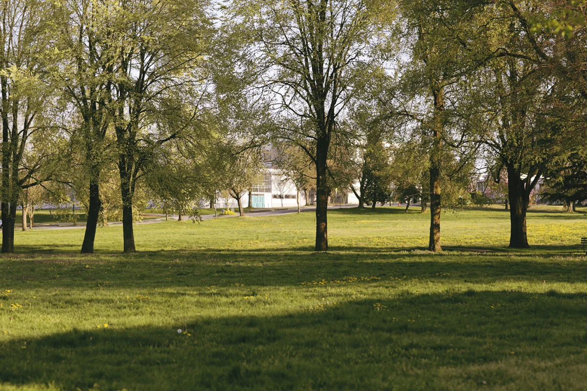 160410_20.jpg